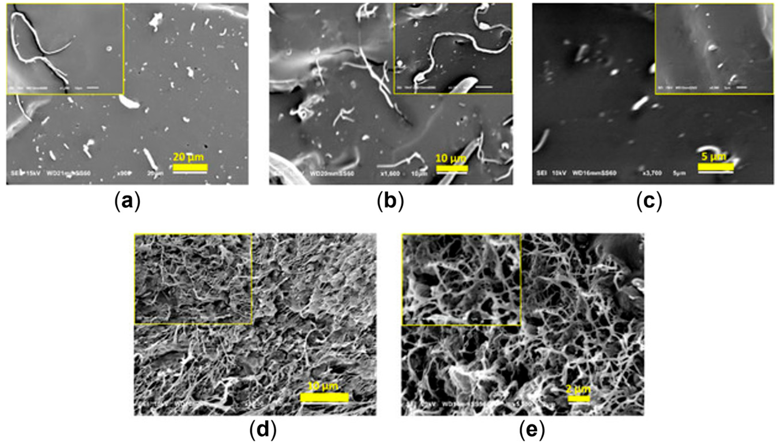 Polymers 17 02483 g025 Polymers 17 02483 g025
