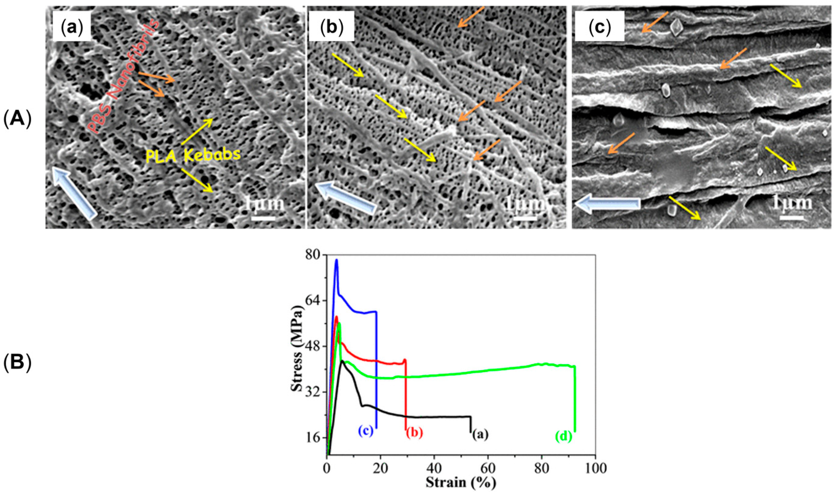 Polymers 17 02483 g027 Polymers 17 02483 g027
