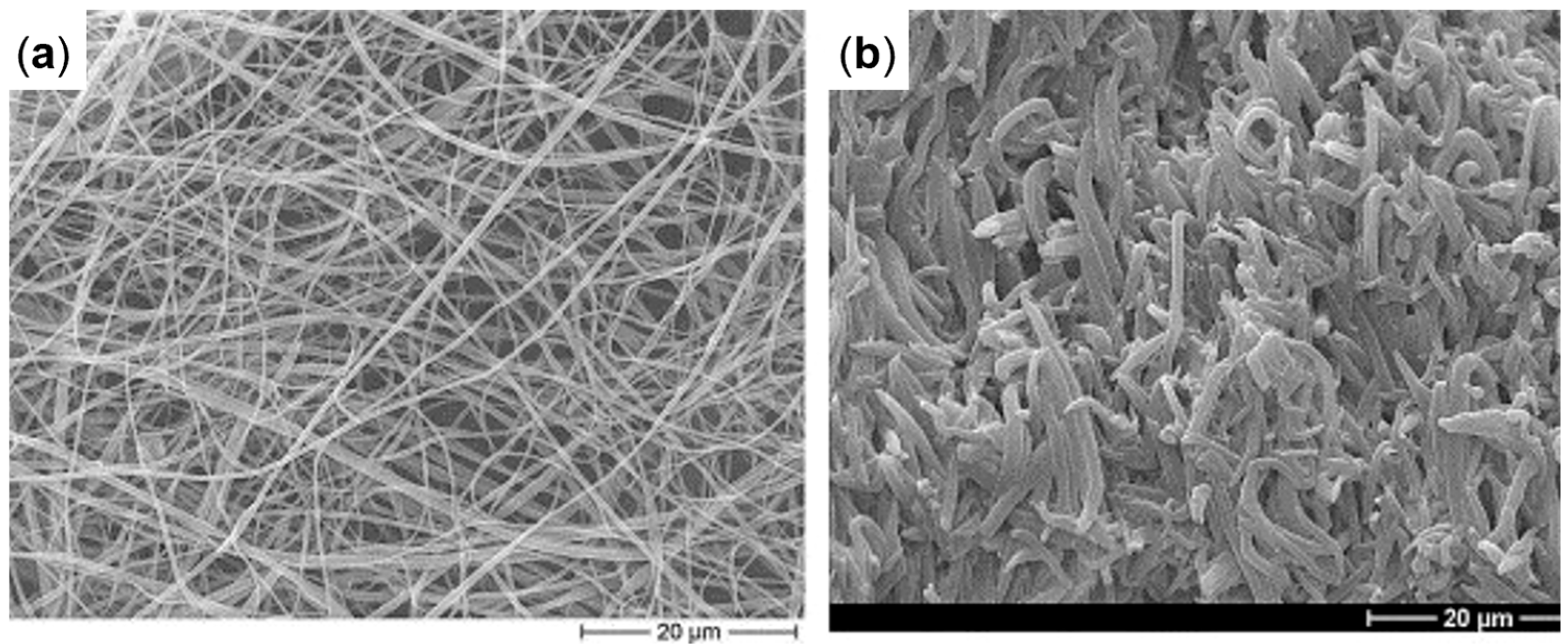Polymers 17 02483 g028 Polymers 17 02483 g028