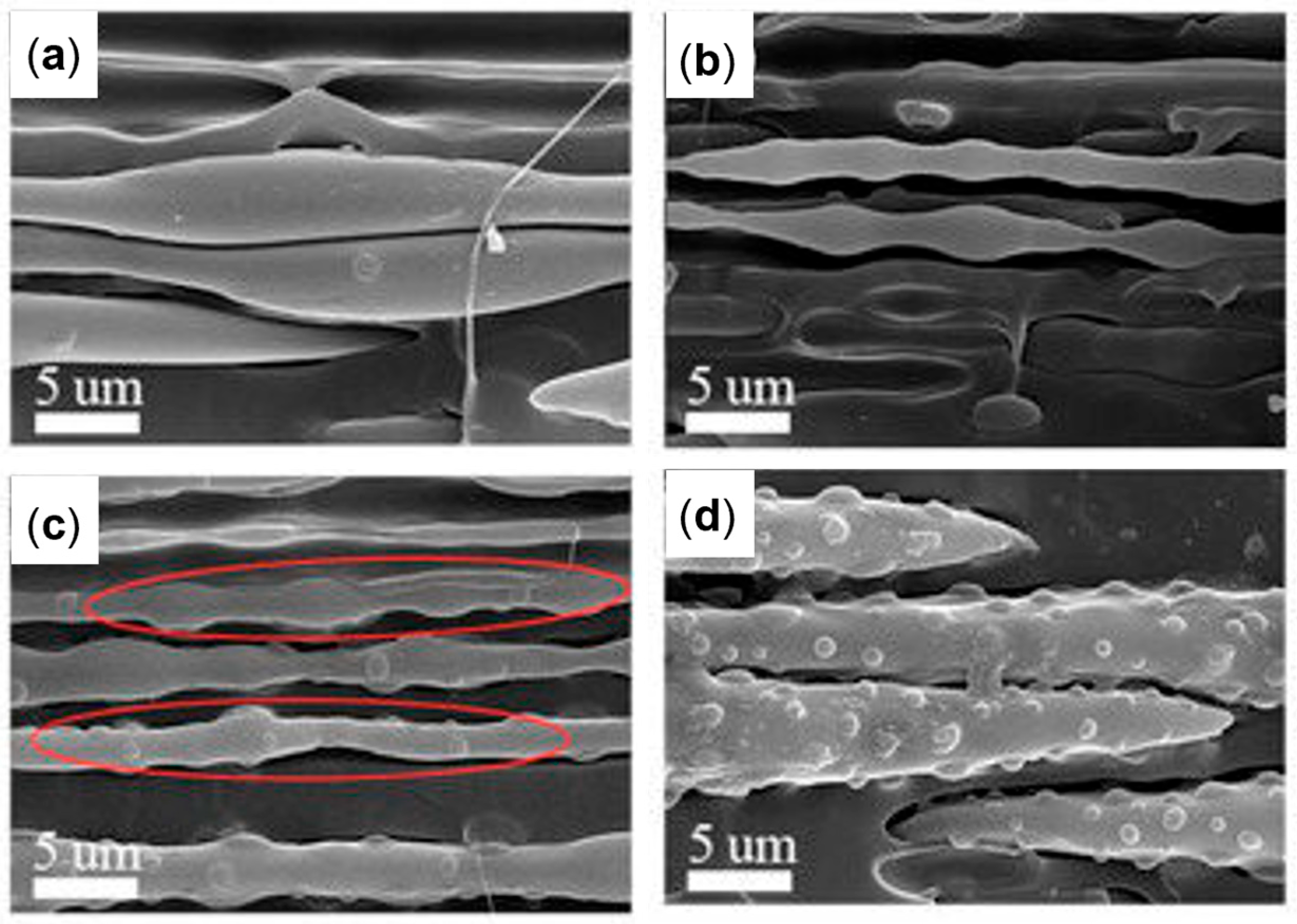 Polymers 17 02483 g030 Polymers 17 02483 g030