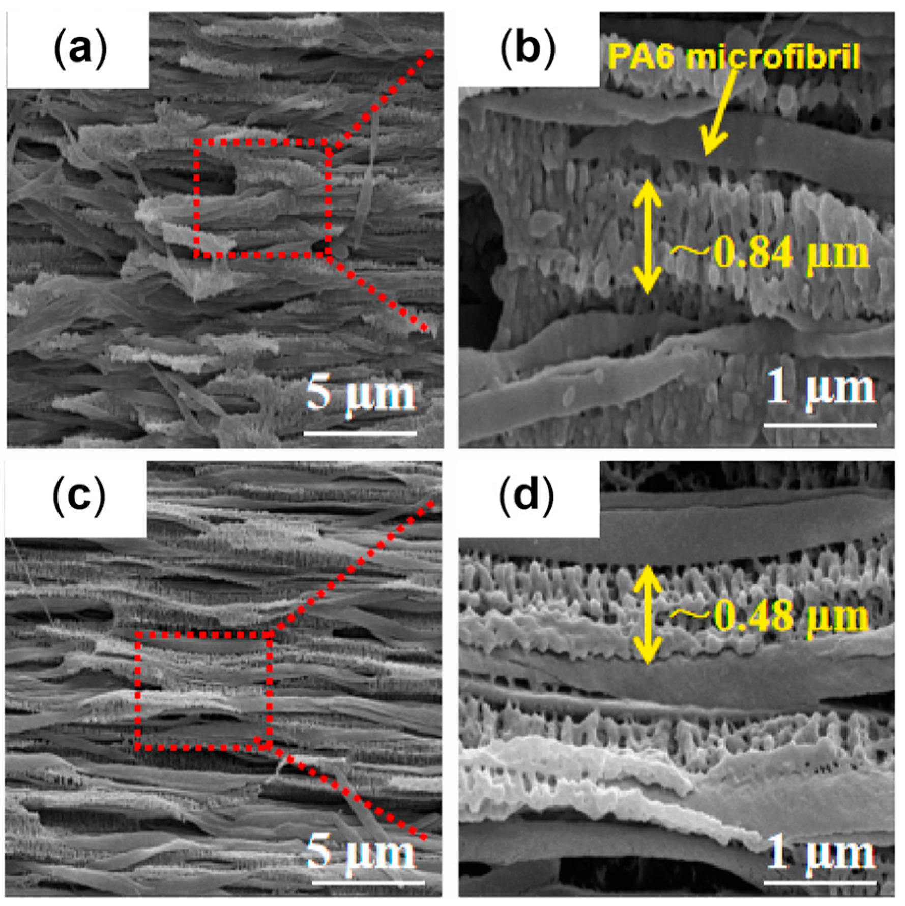 Polymers 17 02483 g031 Polymers 17 02483 g031