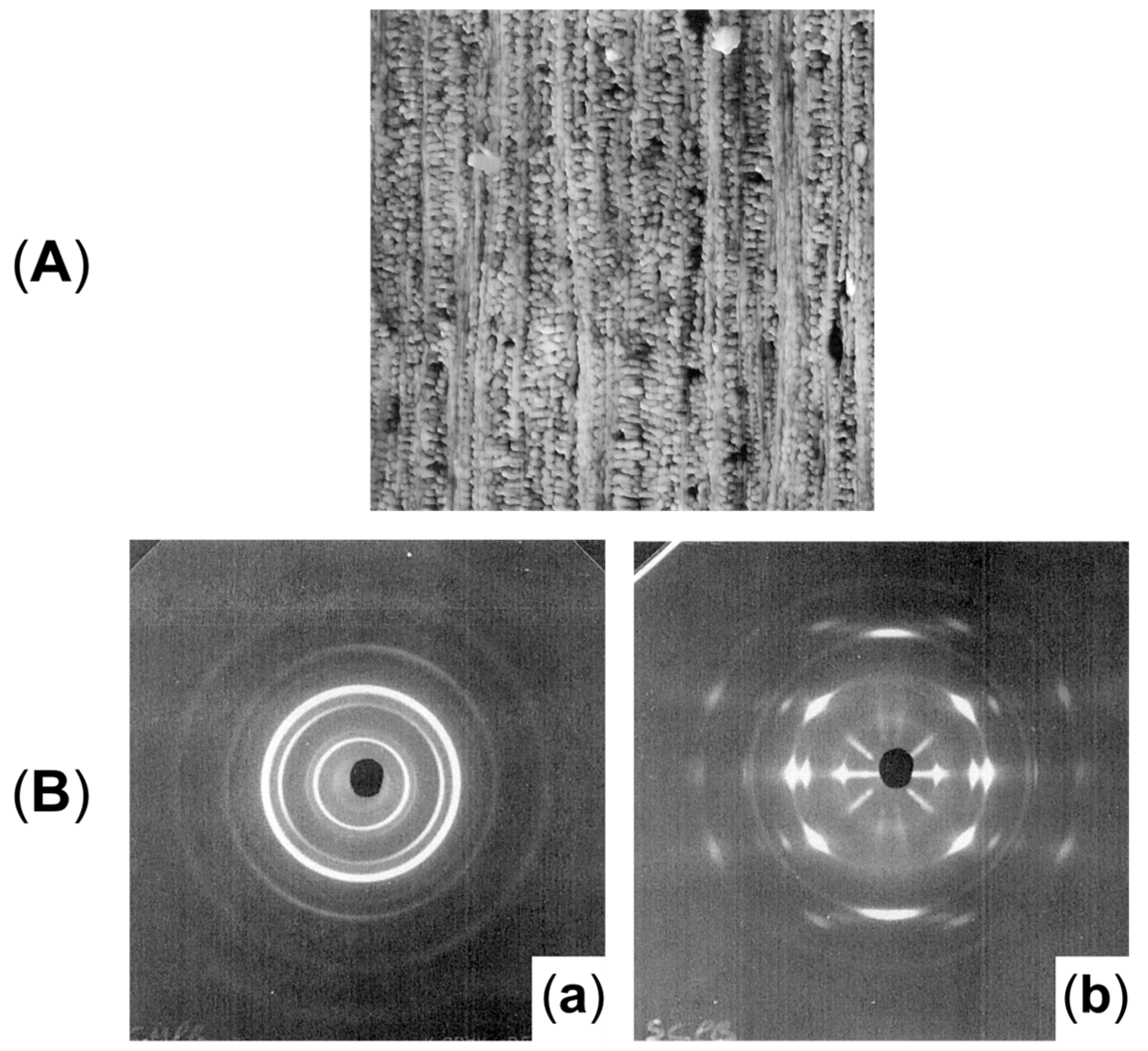 Polymers 17 02483 g034 Polymers 17 02483 g034