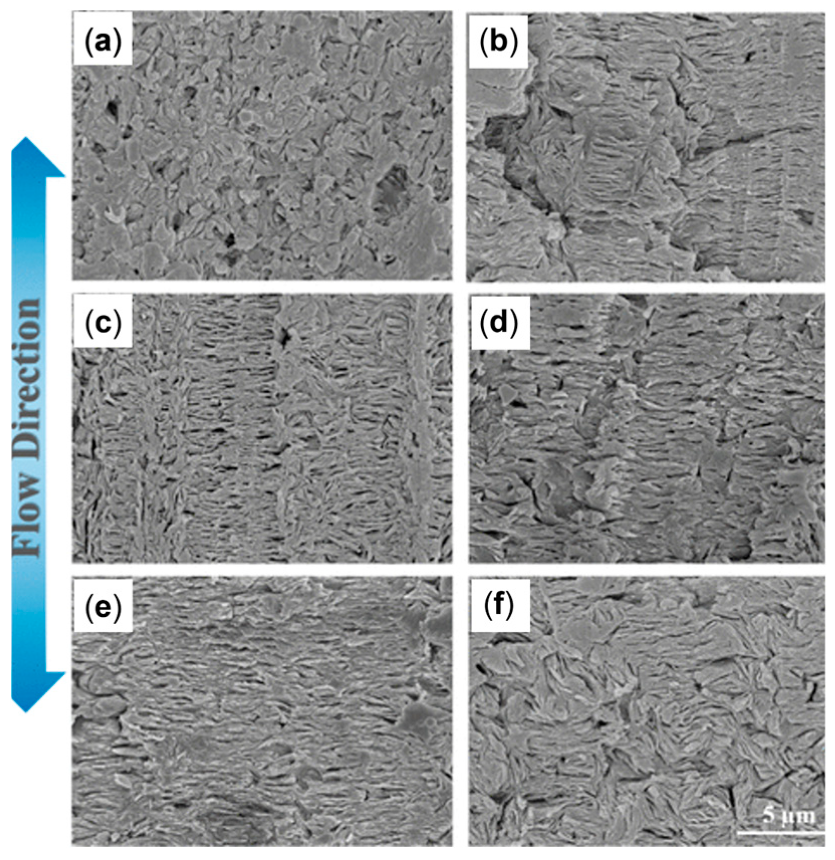 Polymers 17 02483 g035 Polymers 17 02483 g035