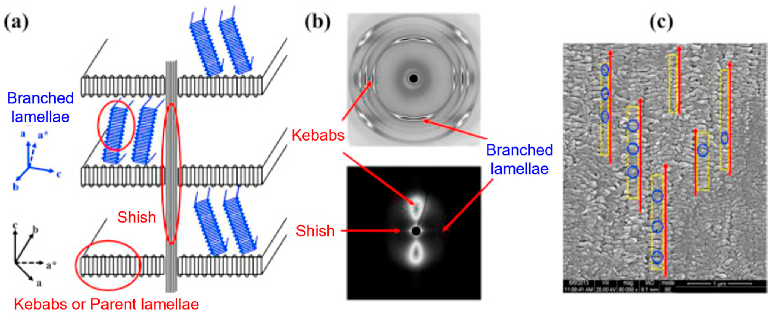 Polymers 17 02483 g036 Polymers 17 02483 g036