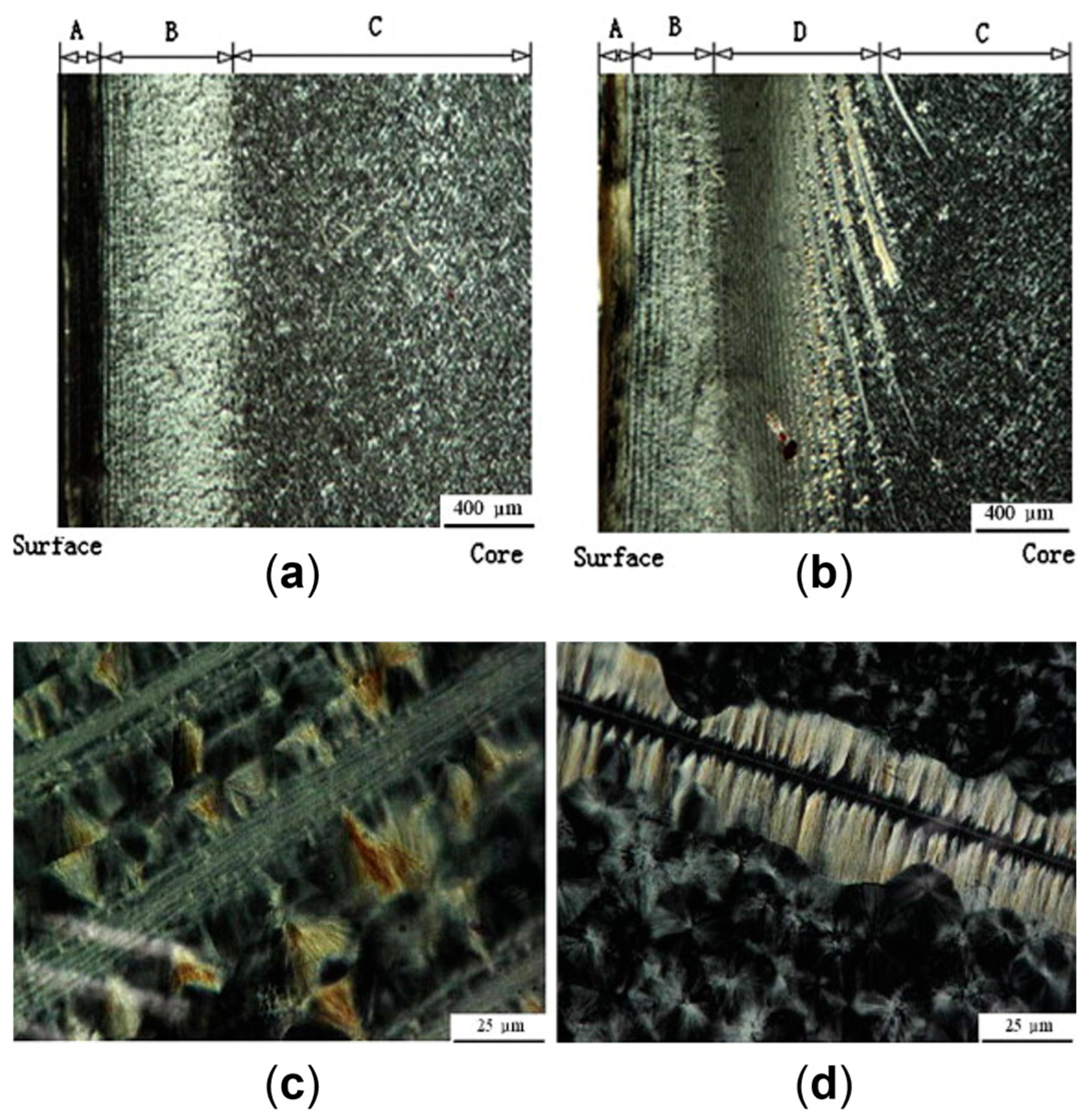 Polymers 17 02483 g042 Polymers 17 02483 g042