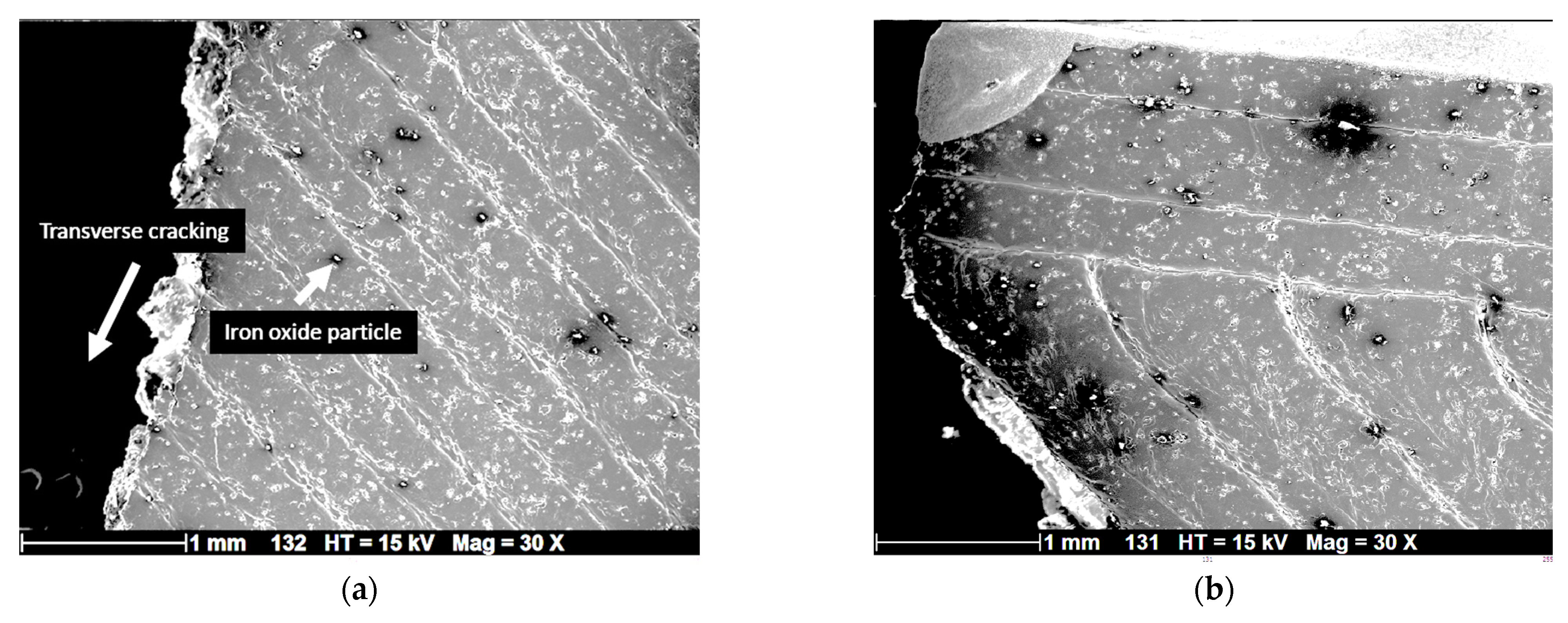Polymers 17 02485 g006 Polymers 17 02485 g006