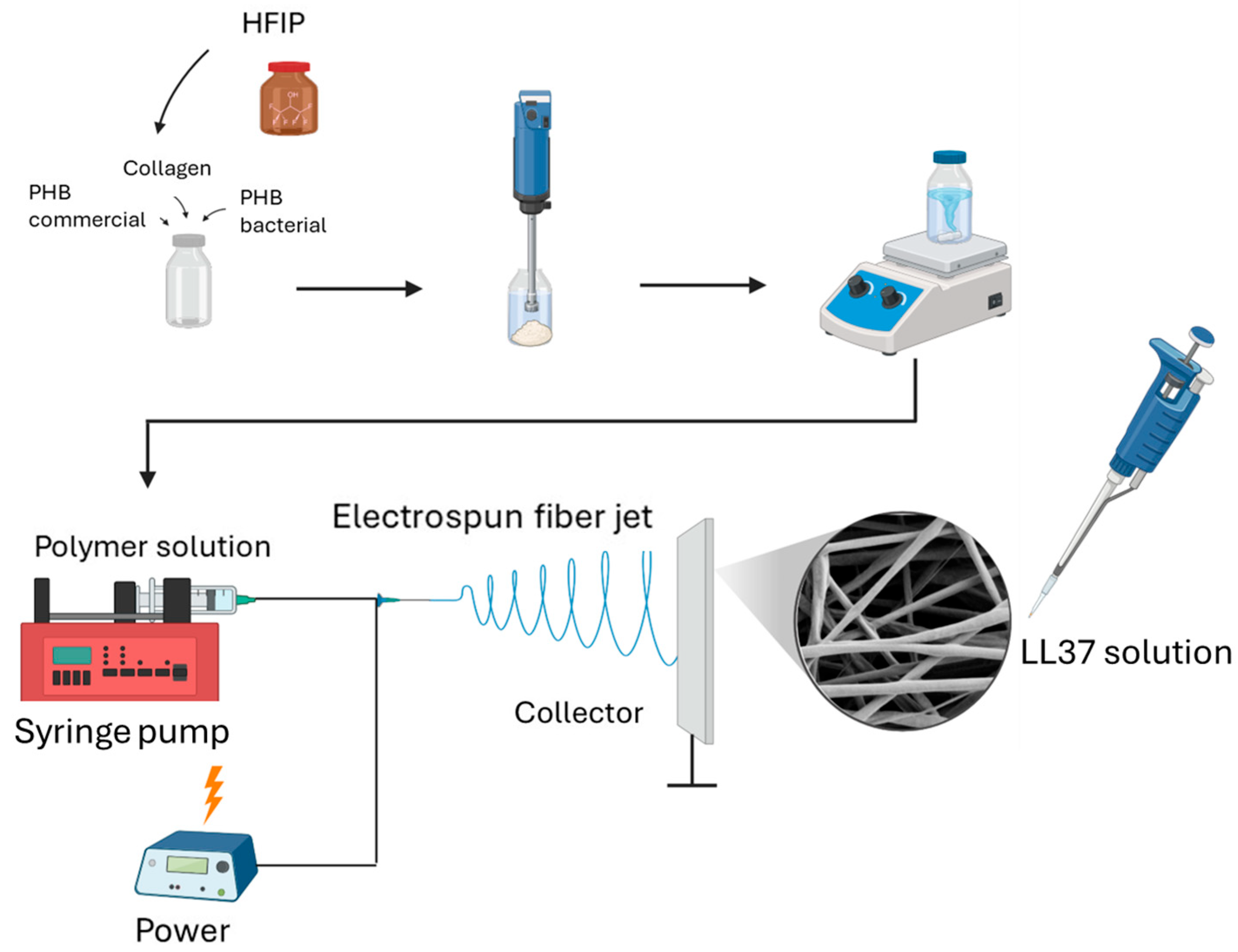 Polymers 17 02486 g001 Polymers 17 02486 g001