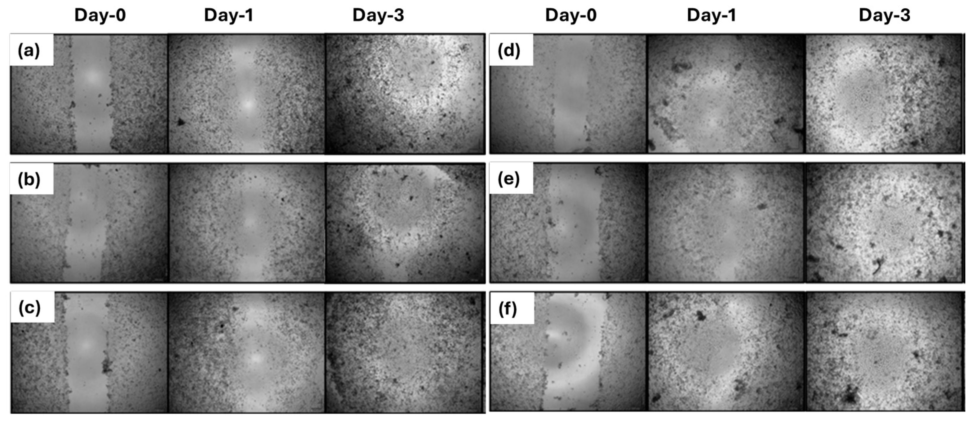Polymers 17 02486 g009 Polymers 17 02486 g009
