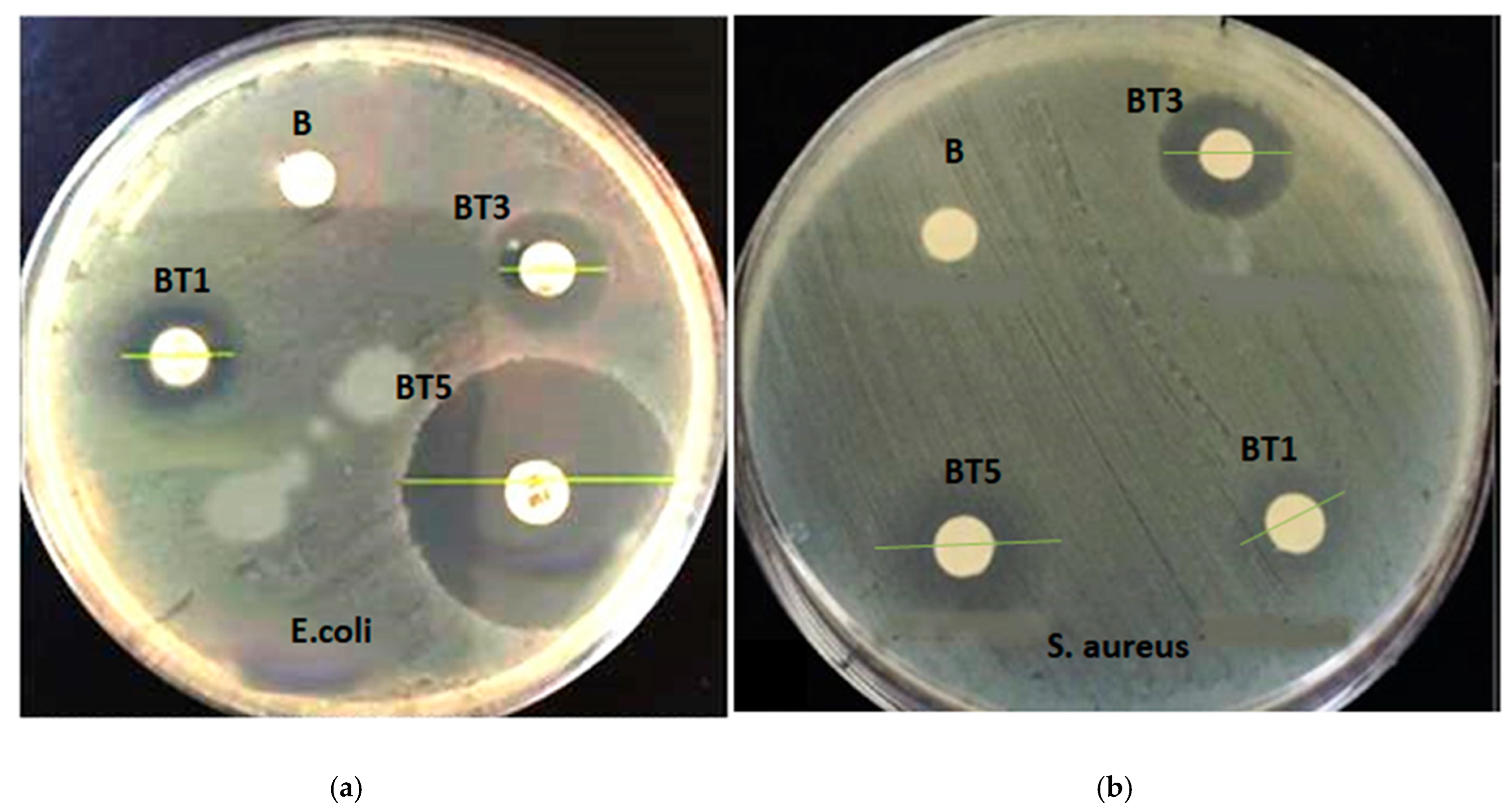 Polymers 17 02487 g014