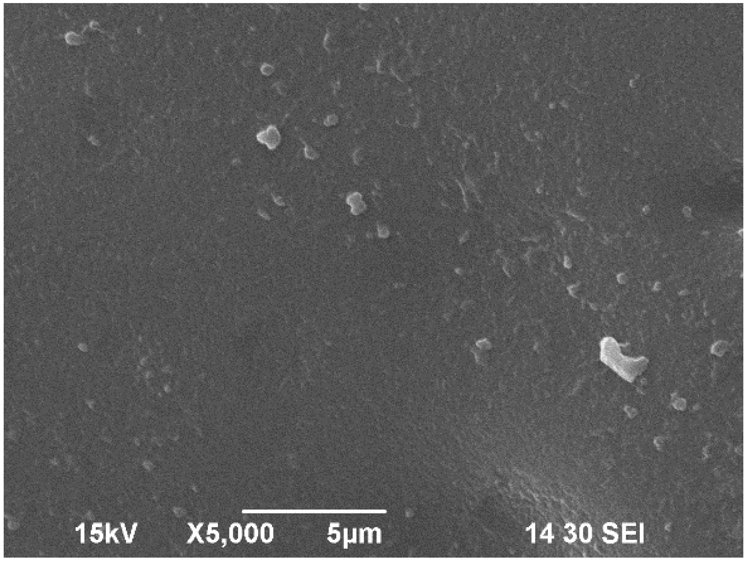 Polymers 17 02488 g006