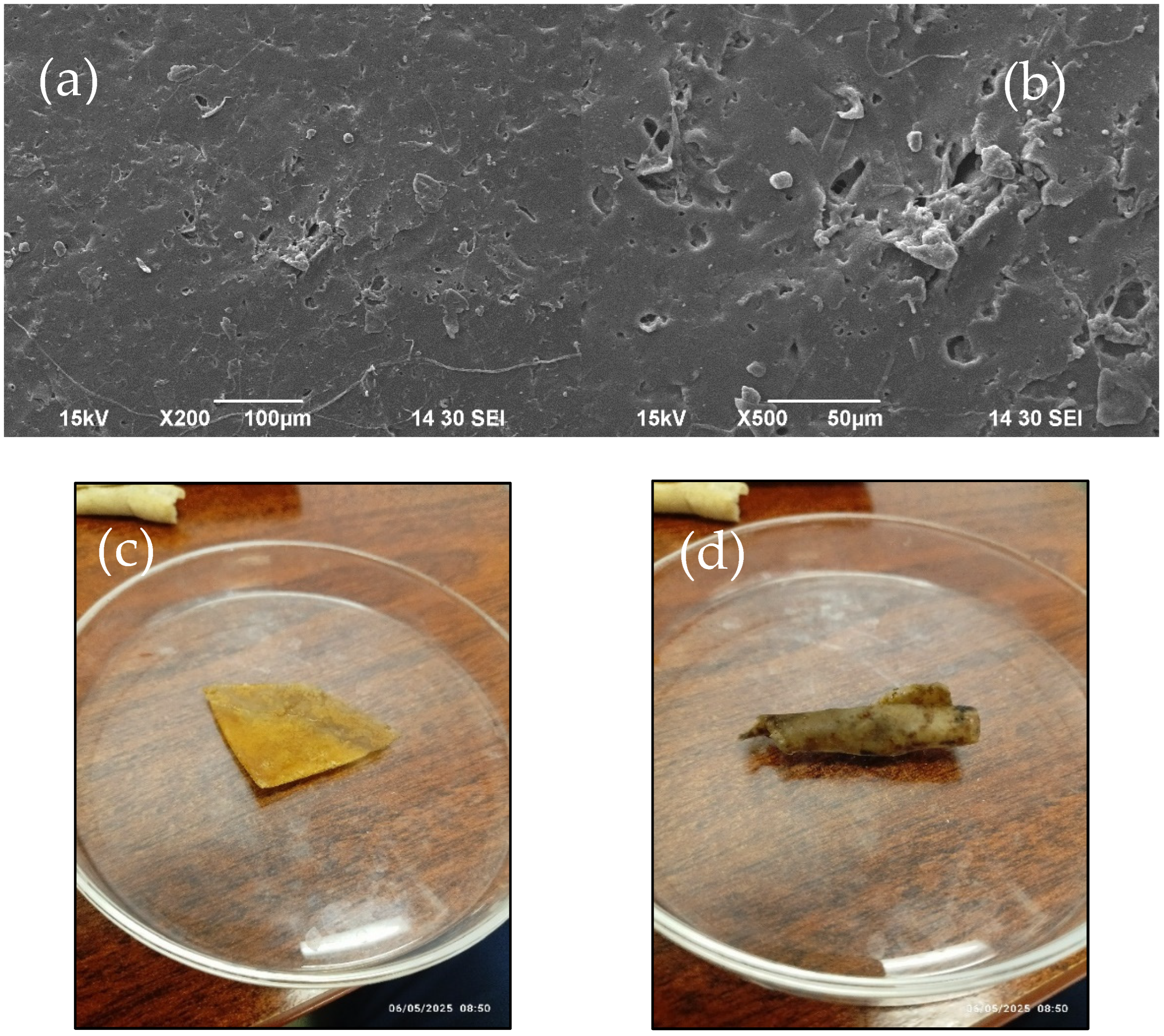 Polymers 17 02488 g011