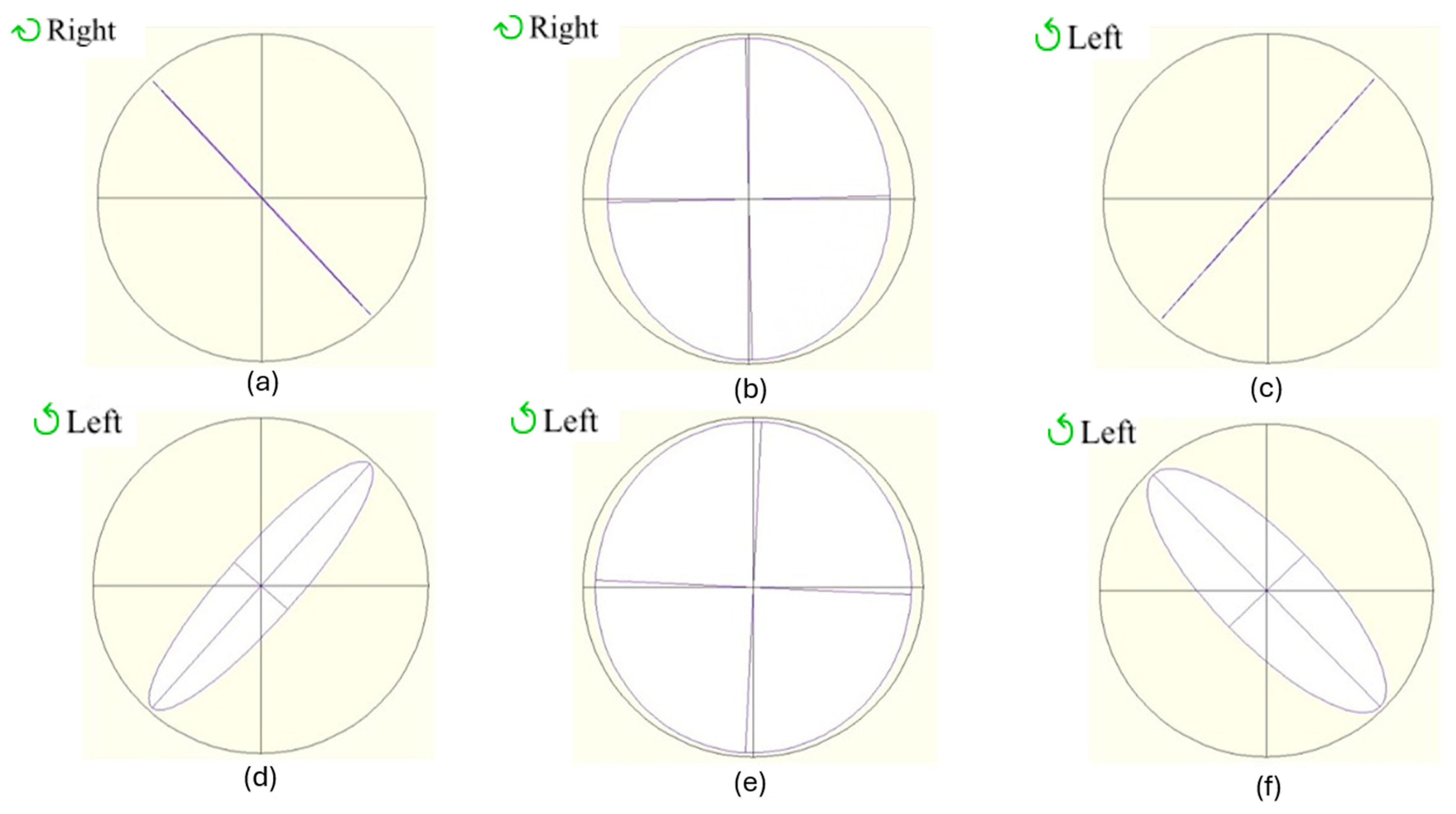 Polymers 17 02489 g004