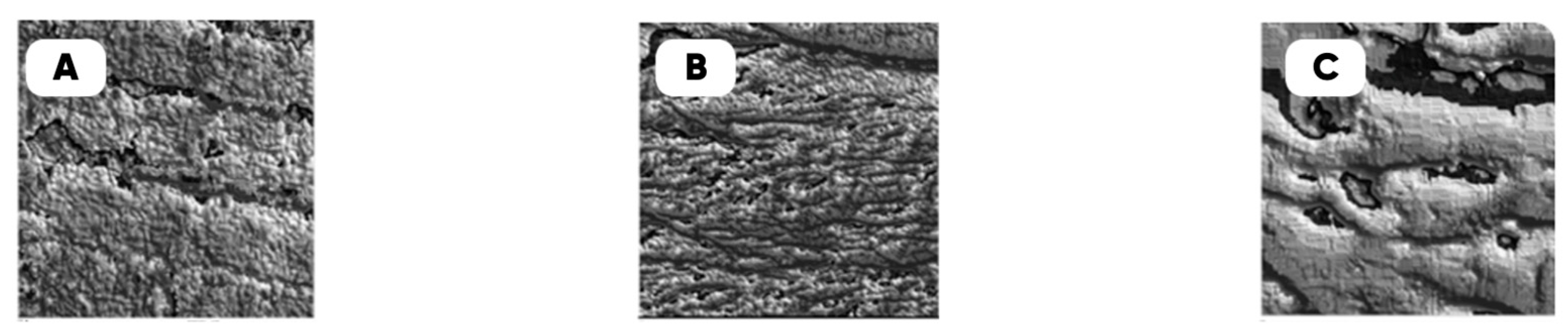 Polymers 17 02490 g007 Polymers 17 02490 g007