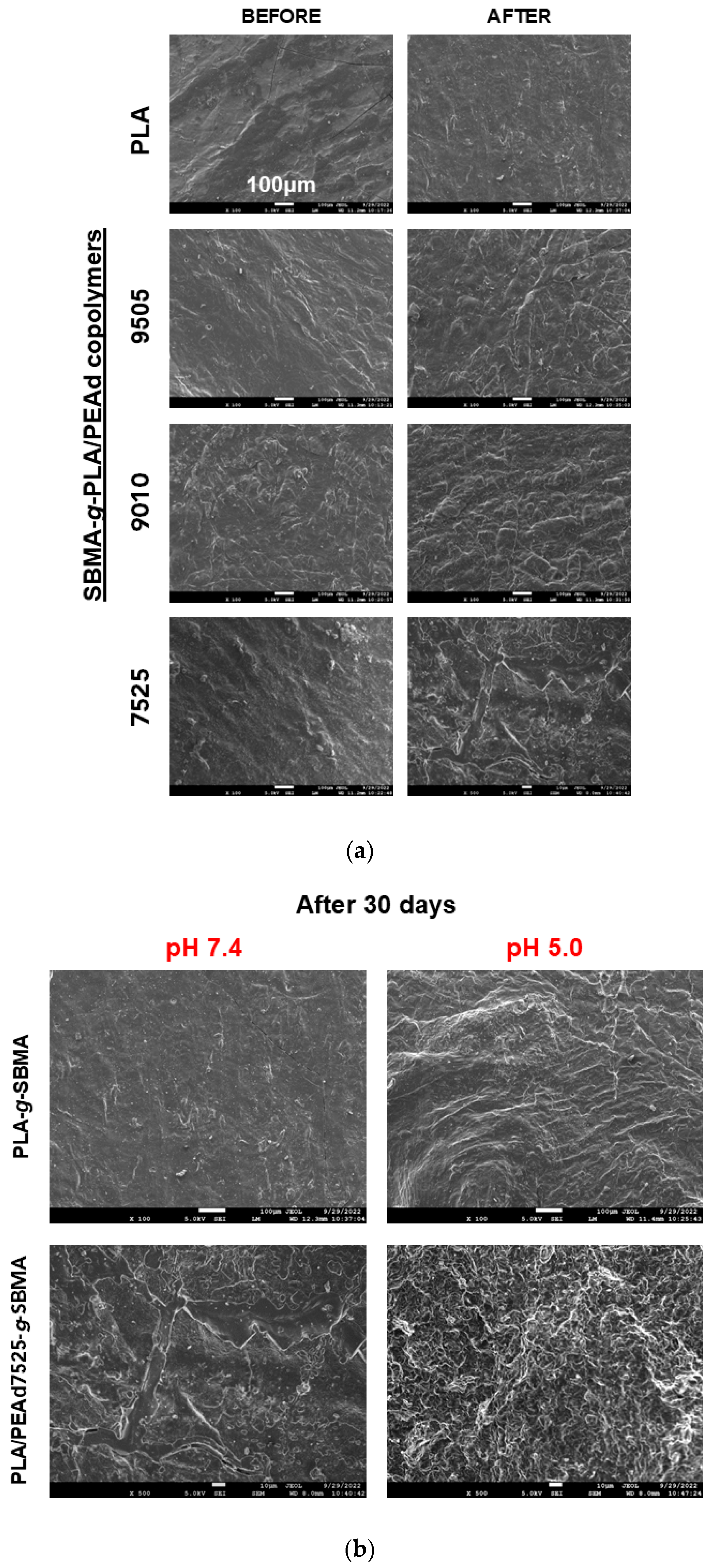 Polymers 17 02495 g004 Polymers 17 02495 g004