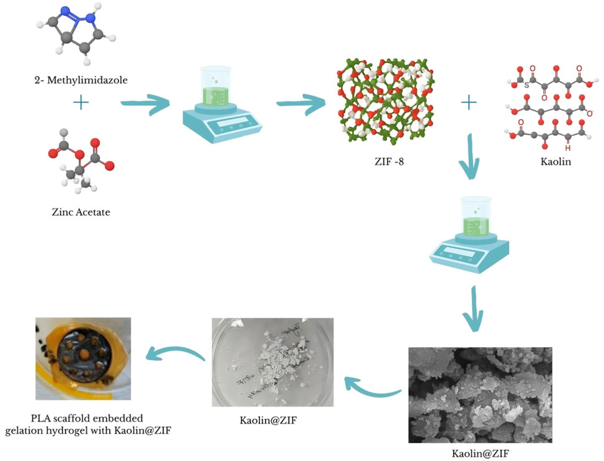 Polymers 17 02497 g002