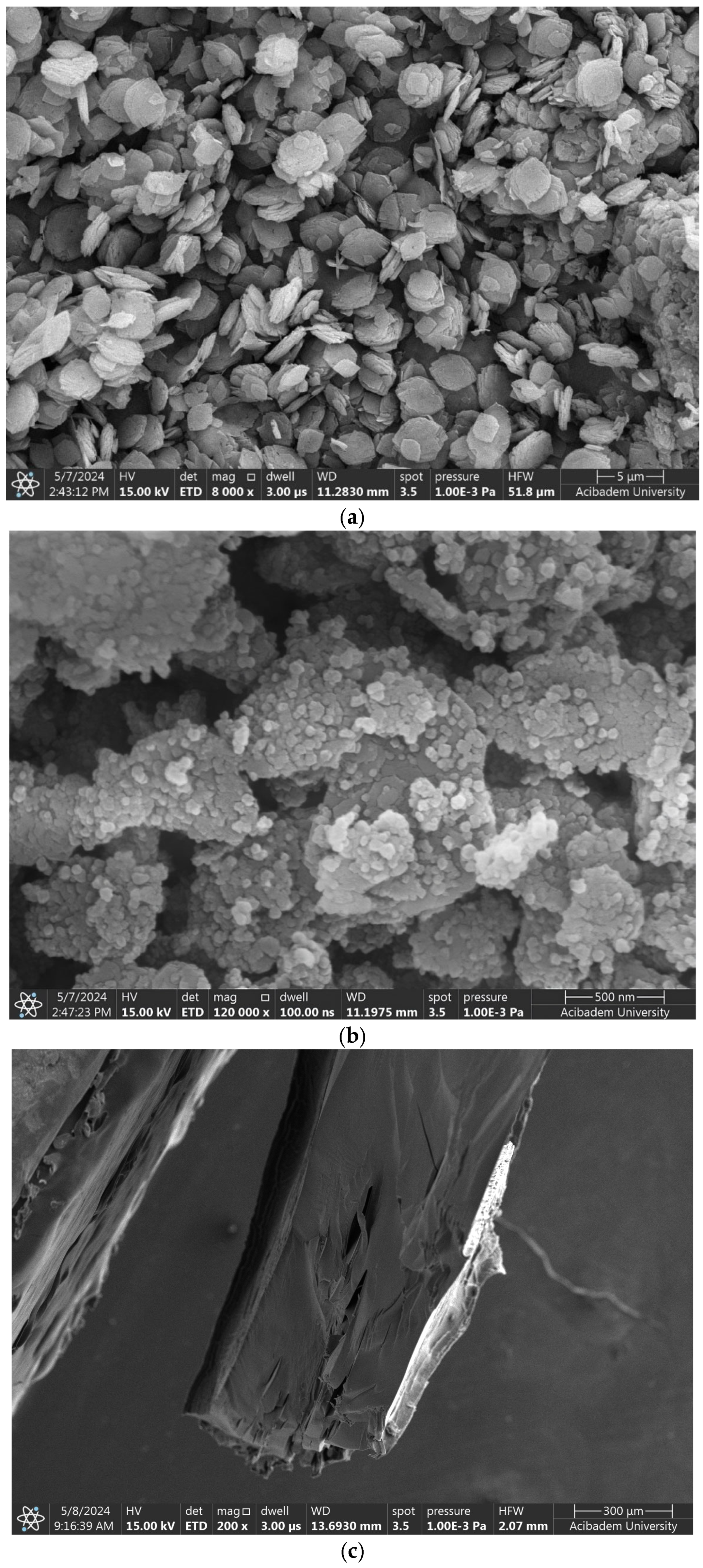 Polymers 17 02497 g005