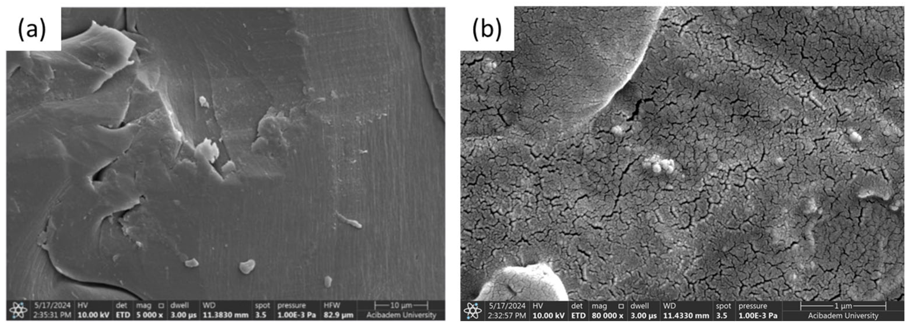 Polymers 17 02497 g006