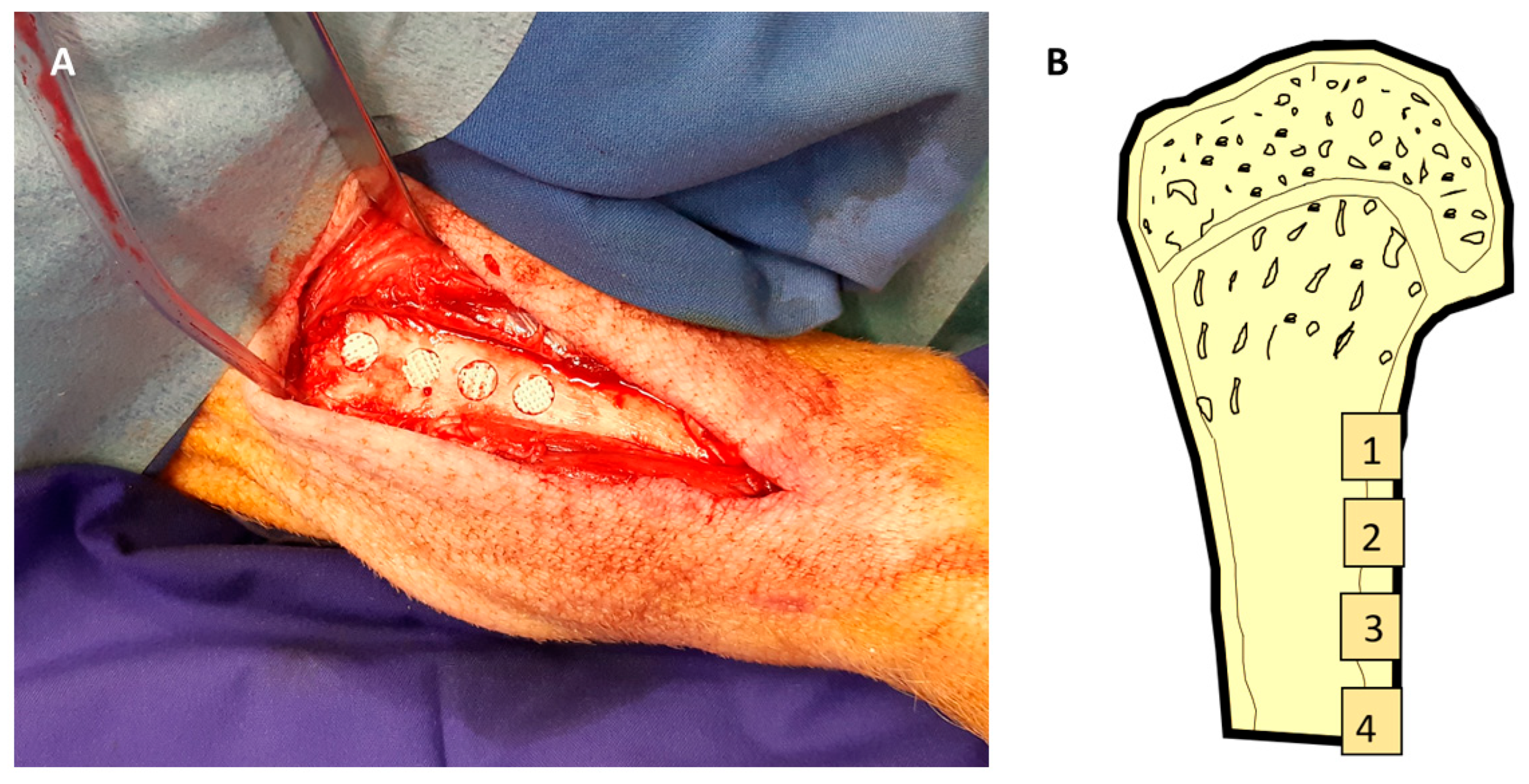 Polymers 17 02498 g003 Polymers 17 02498 g003