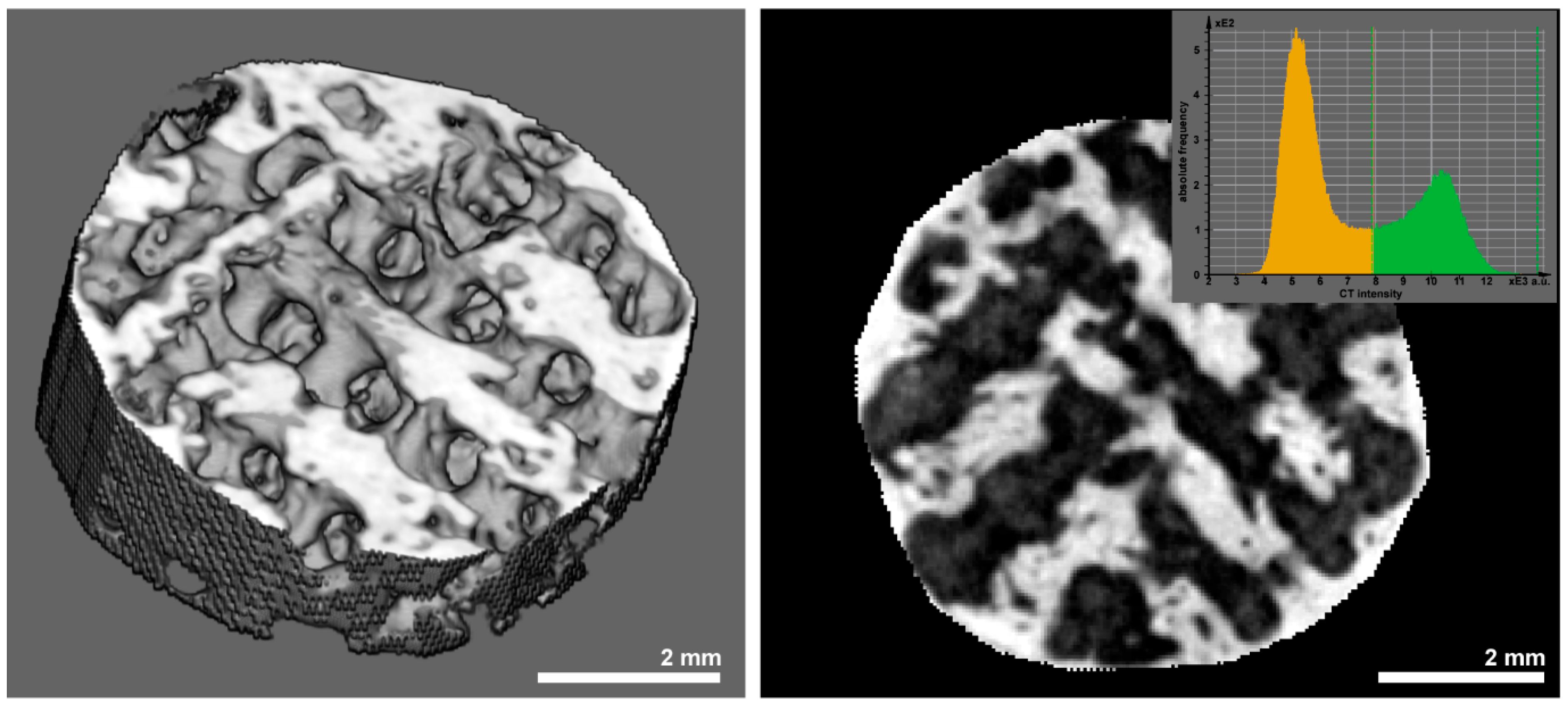 Polymers 17 02498 g004 Polymers 17 02498 g004