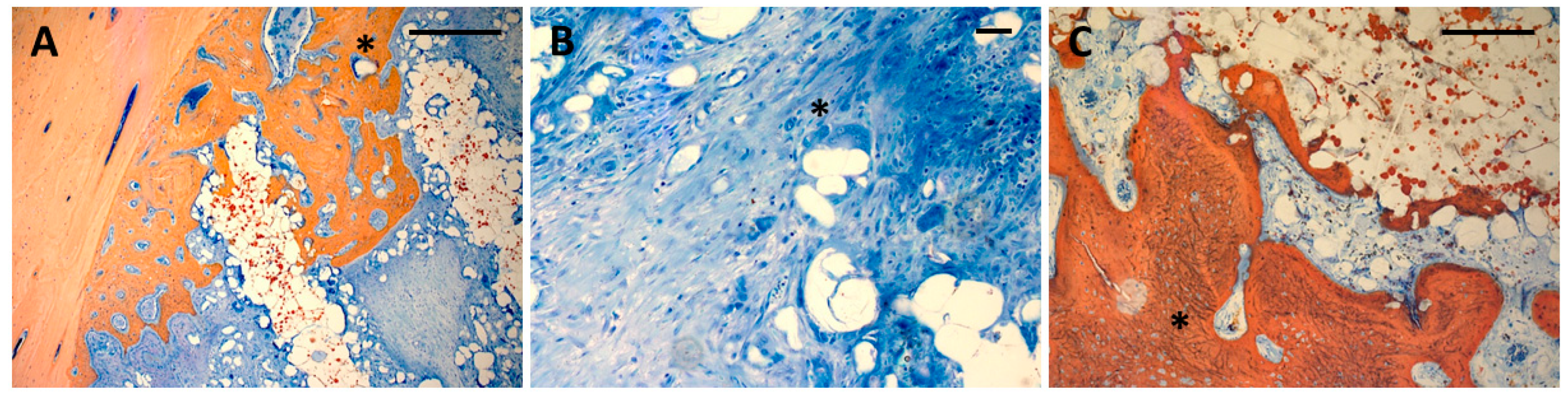 Polymers 17 02498 g007 Polymers 17 02498 g007