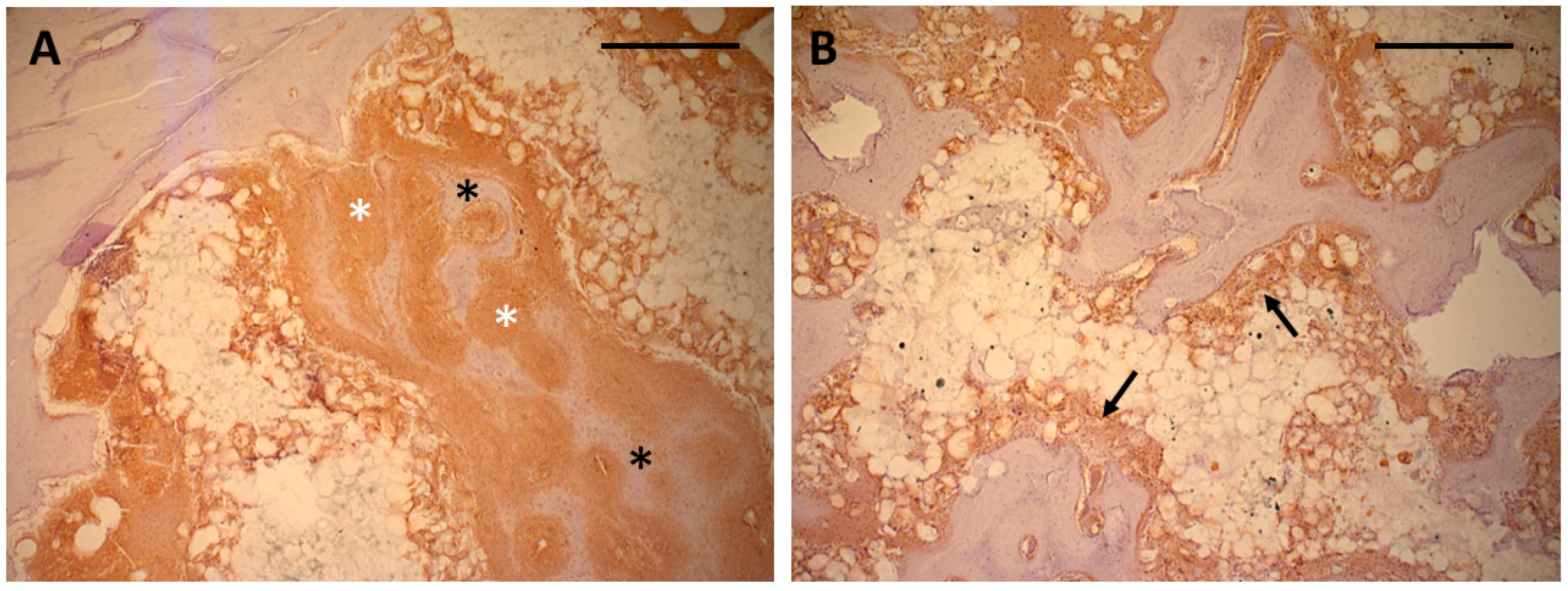 Polymers 17 02498 g009 Polymers 17 02498 g009
