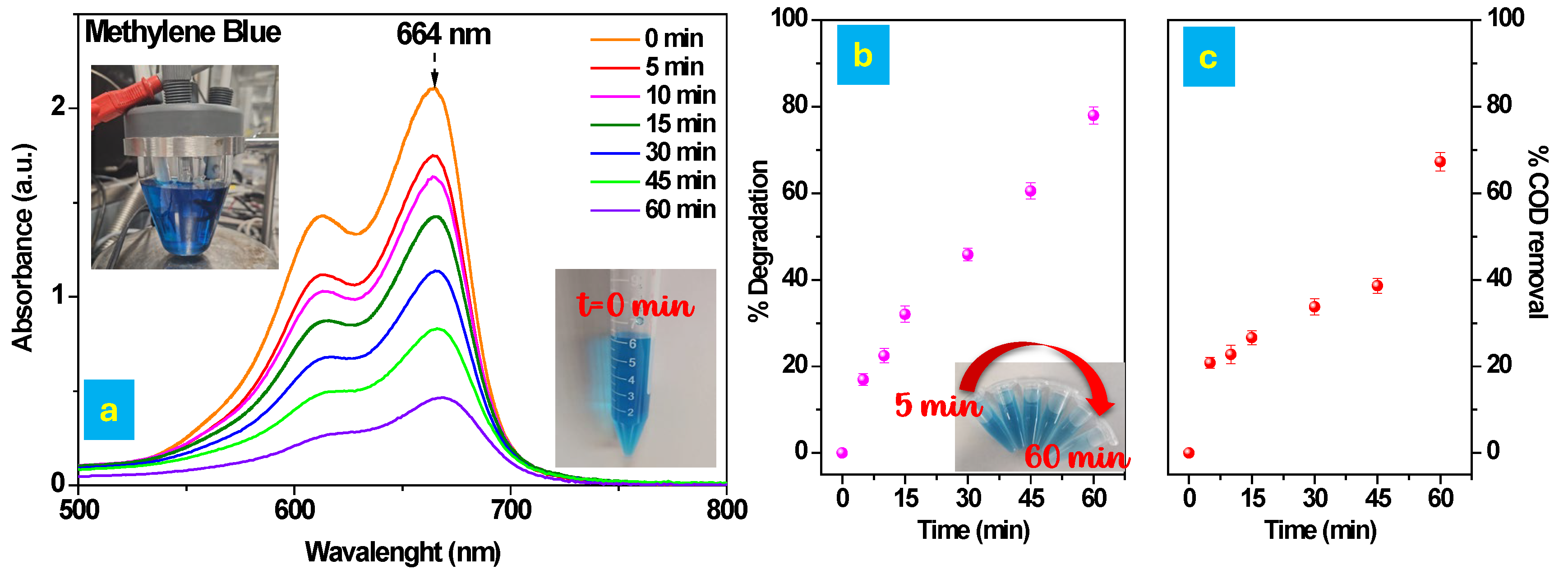 Polymers 17 02499 g005
