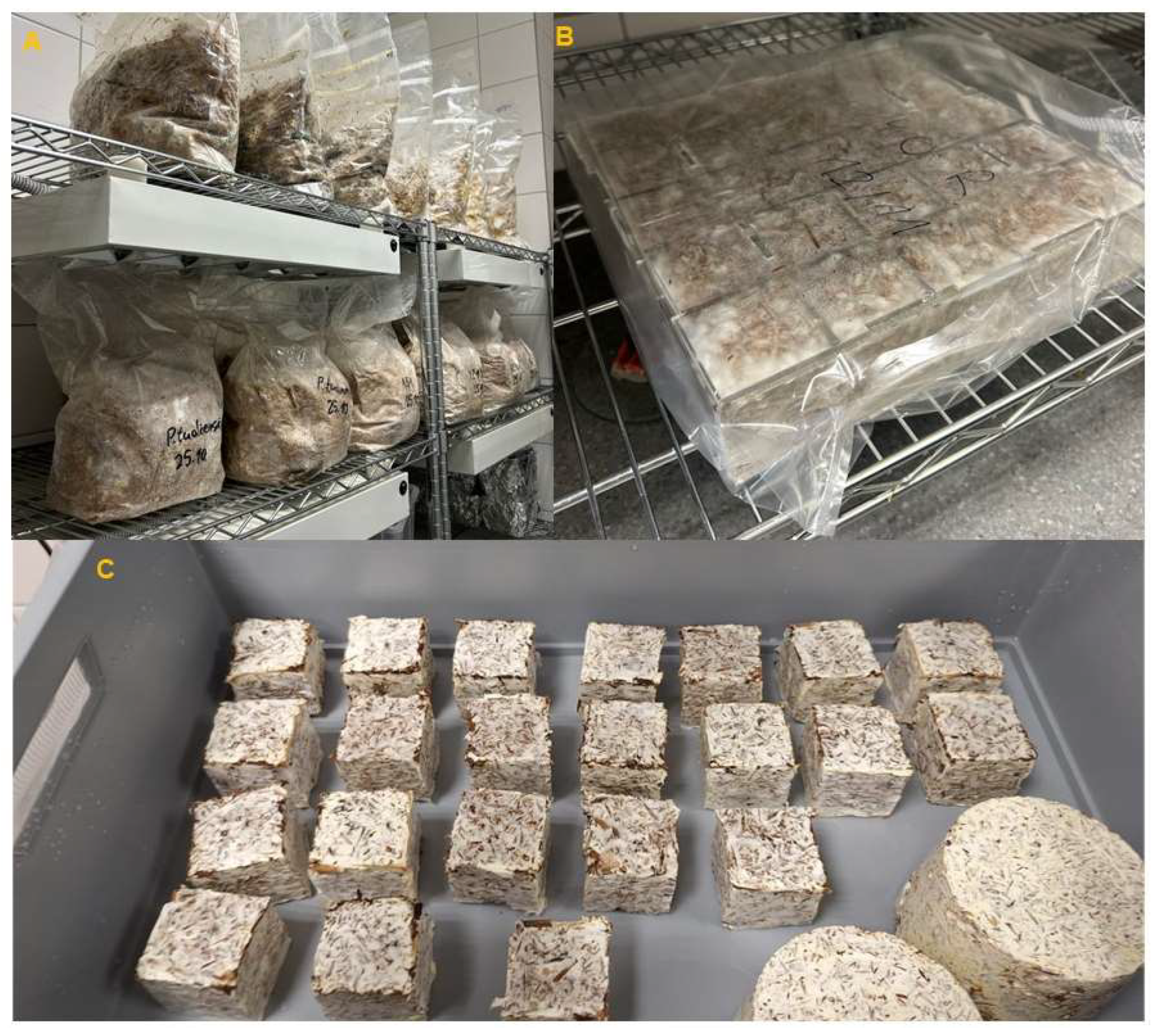 Polymers 17 02506 g001