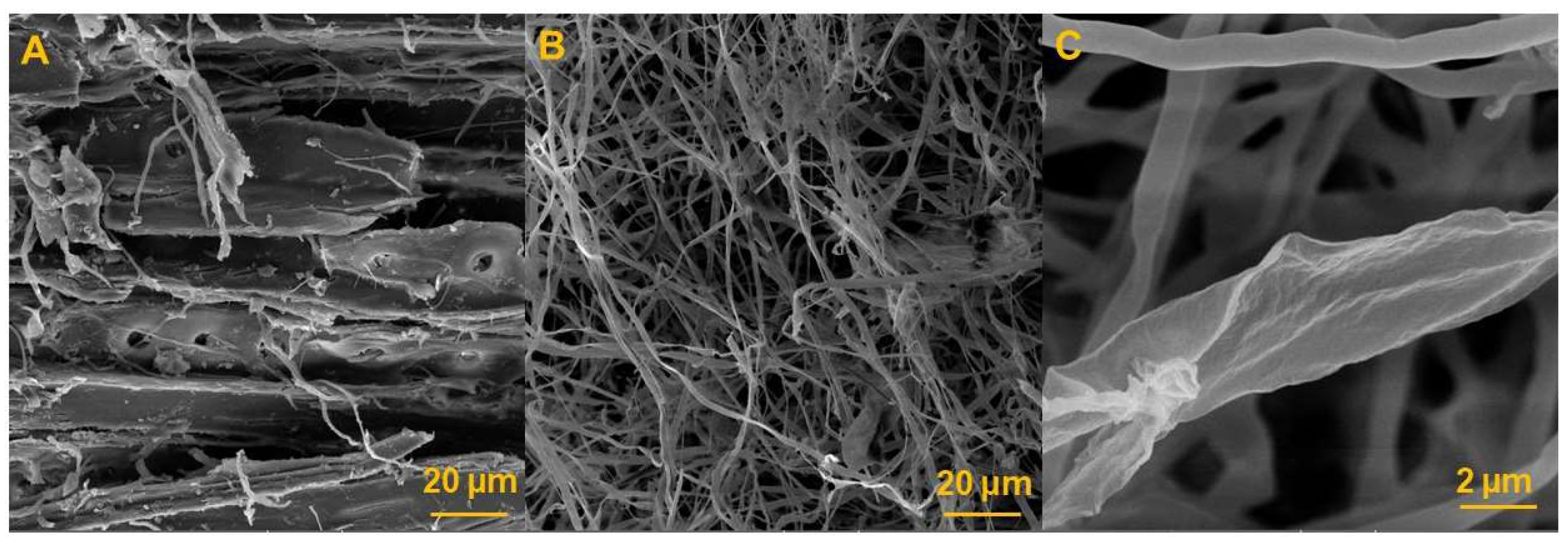 Polymers 17 02506 g007