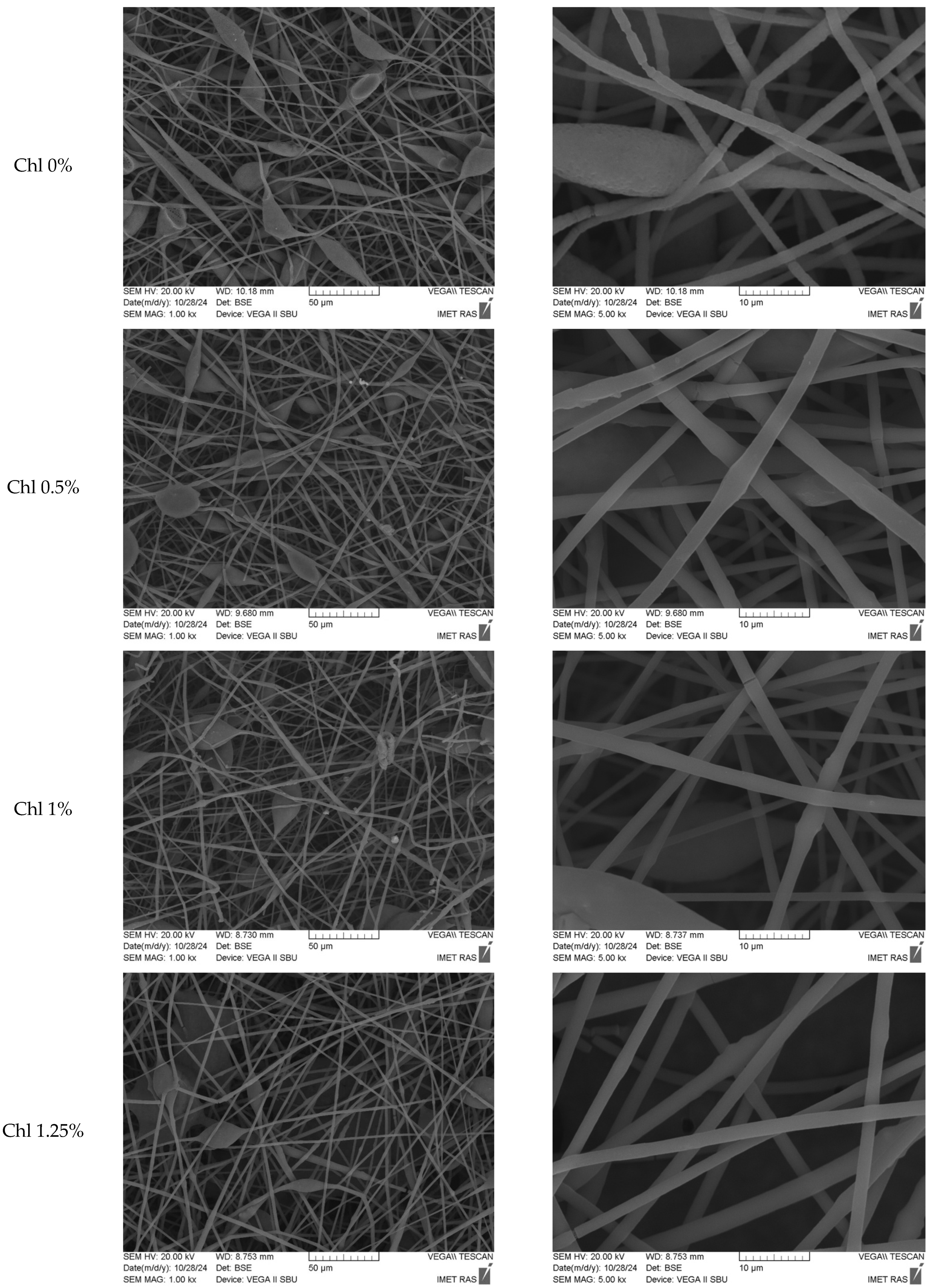 Polymers 17 02507 g001a Polymers 17 02507 g001a