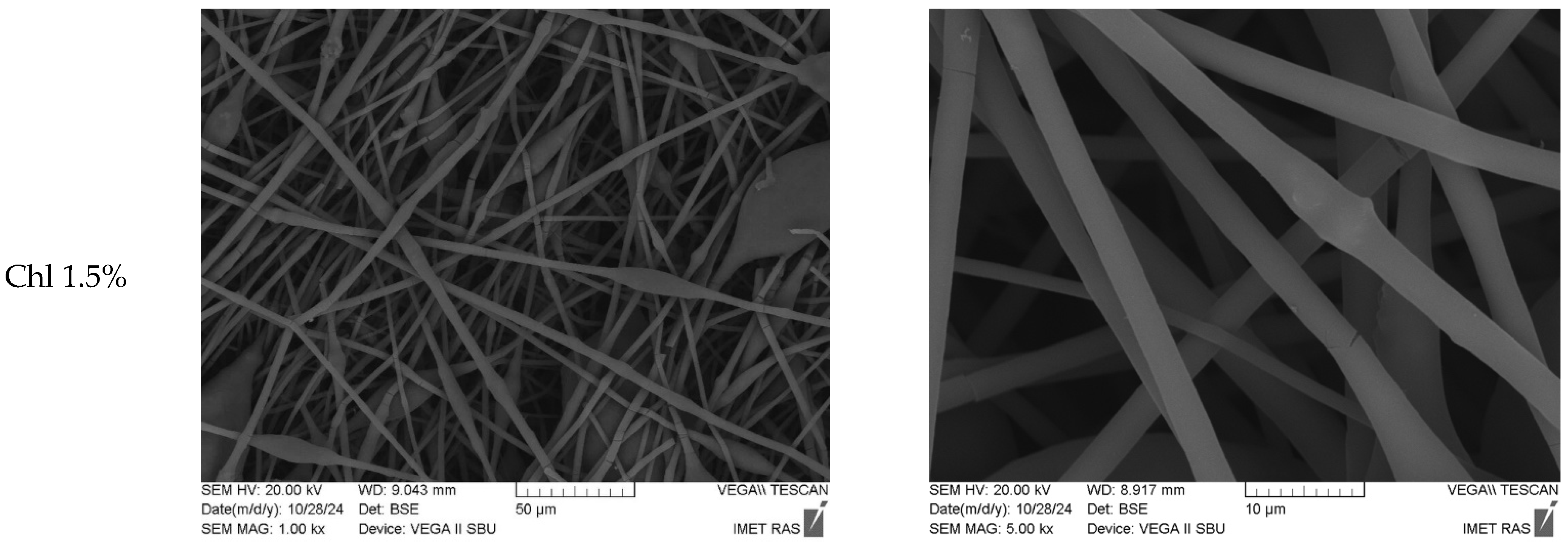 Polymers 17 02507 g001b Polymers 17 02507 g001b