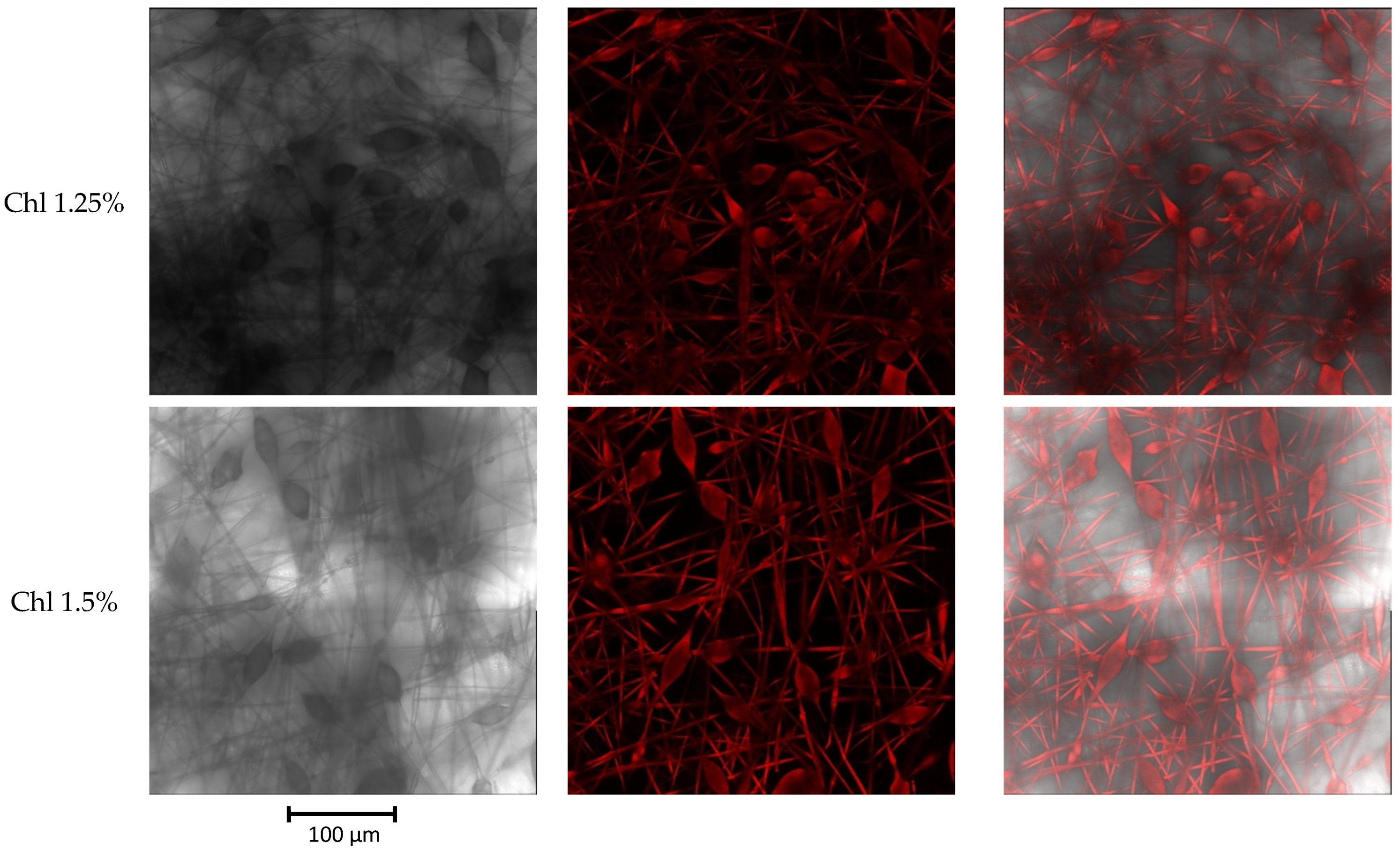 Polymers 17 02507 g002b Polymers 17 02507 g002b