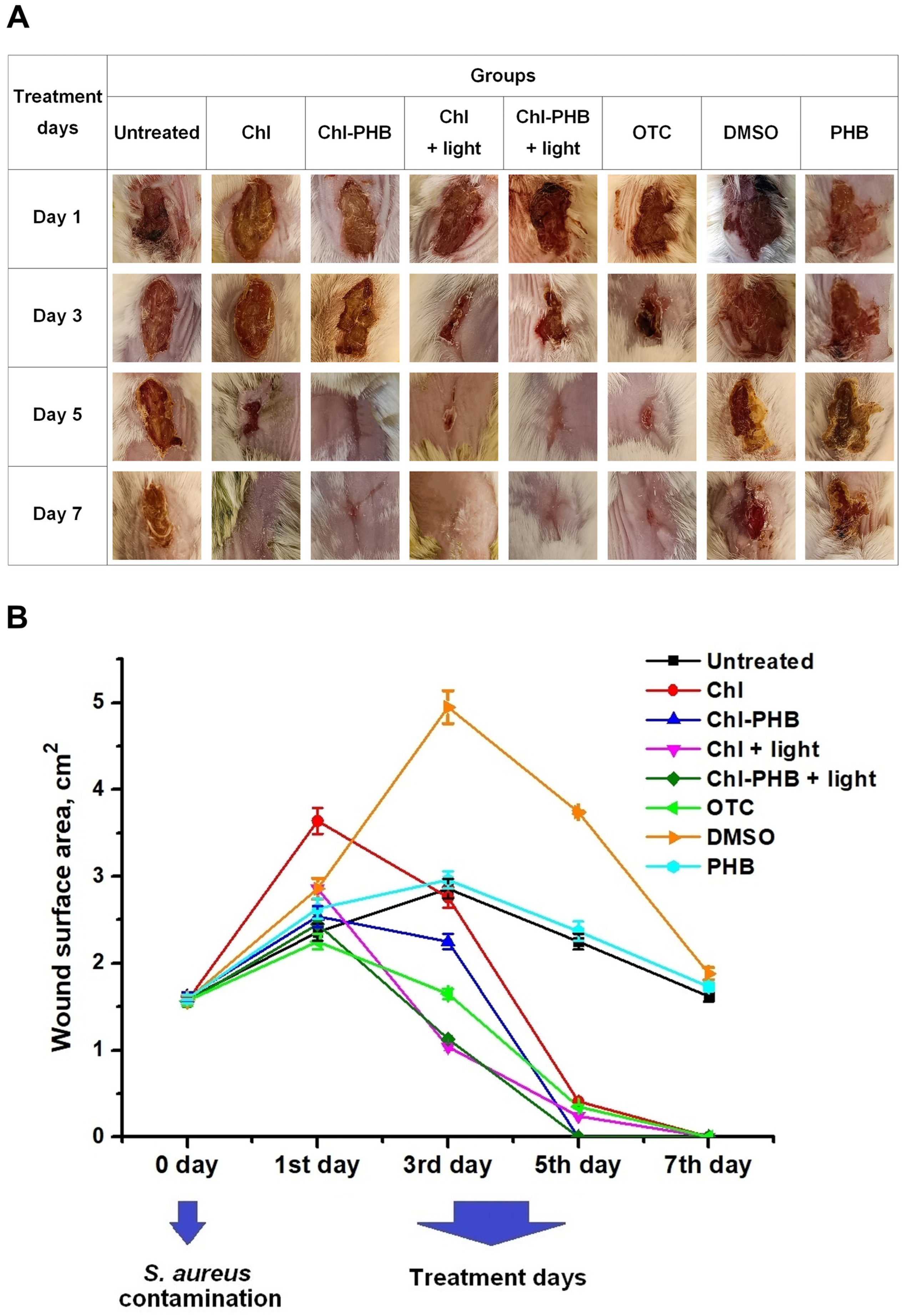 Polymers 17 02507 g009 Polymers 17 02507 g009
