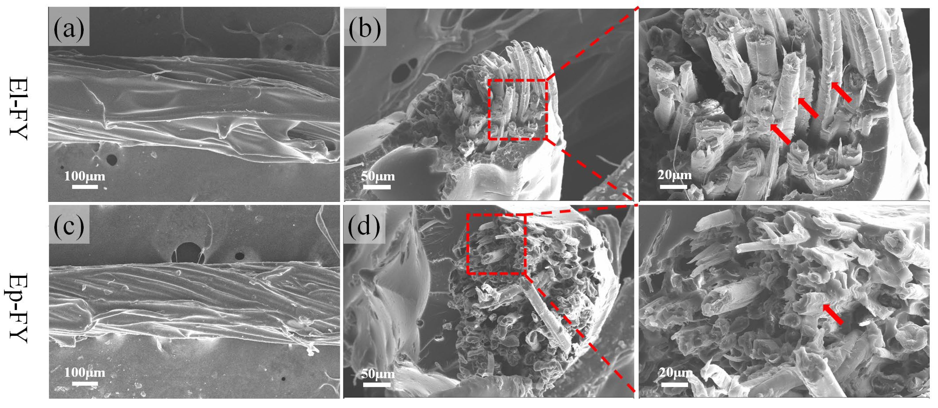 Polymers 17 02515 g005
