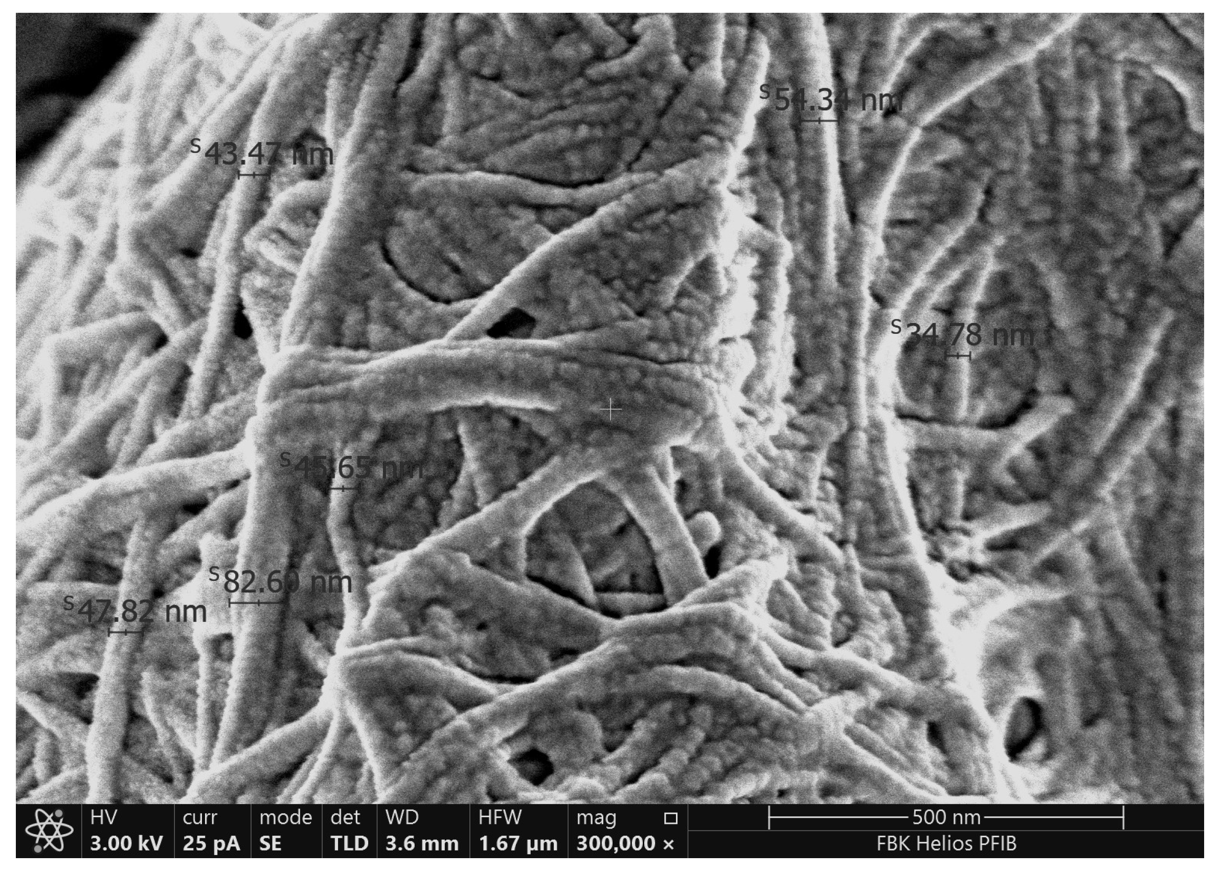 Polymers 17 02521 g005