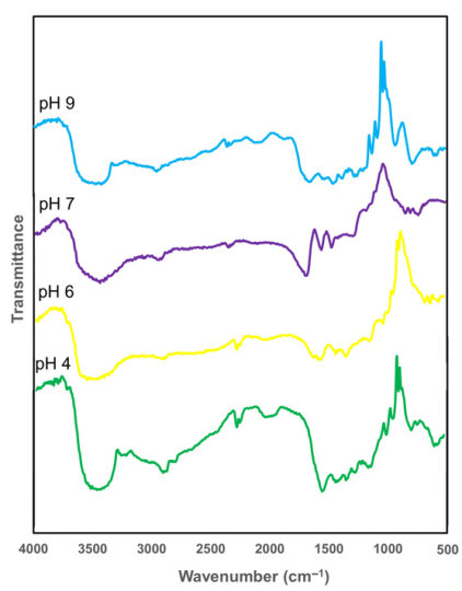 Polymers 17 02521 g006