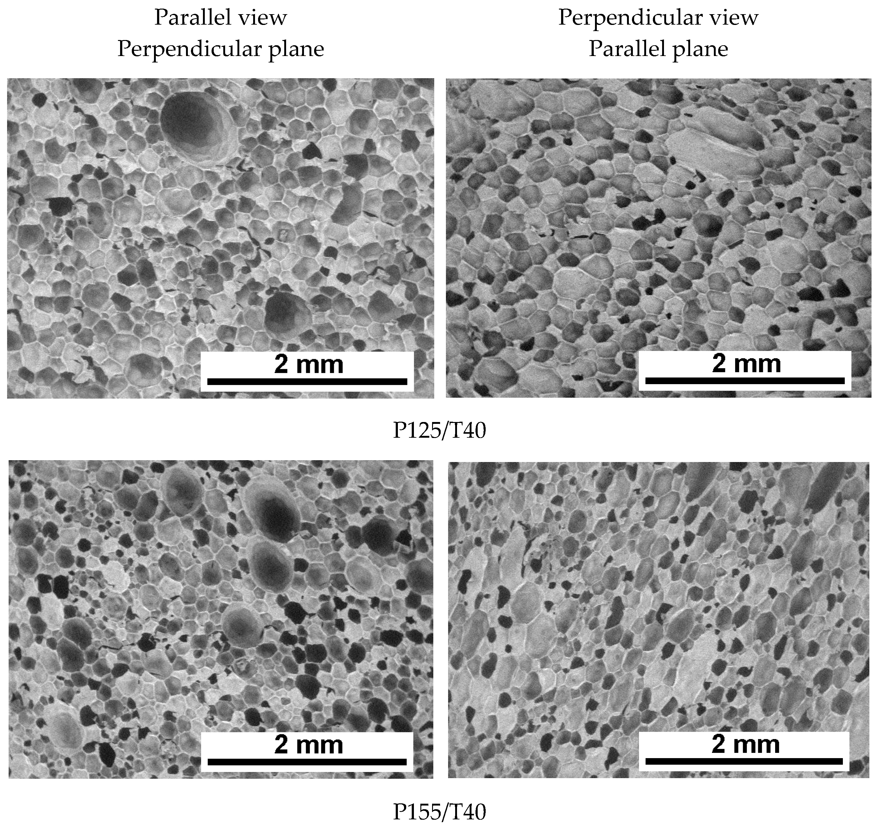 Polymers 17 02522 g003a