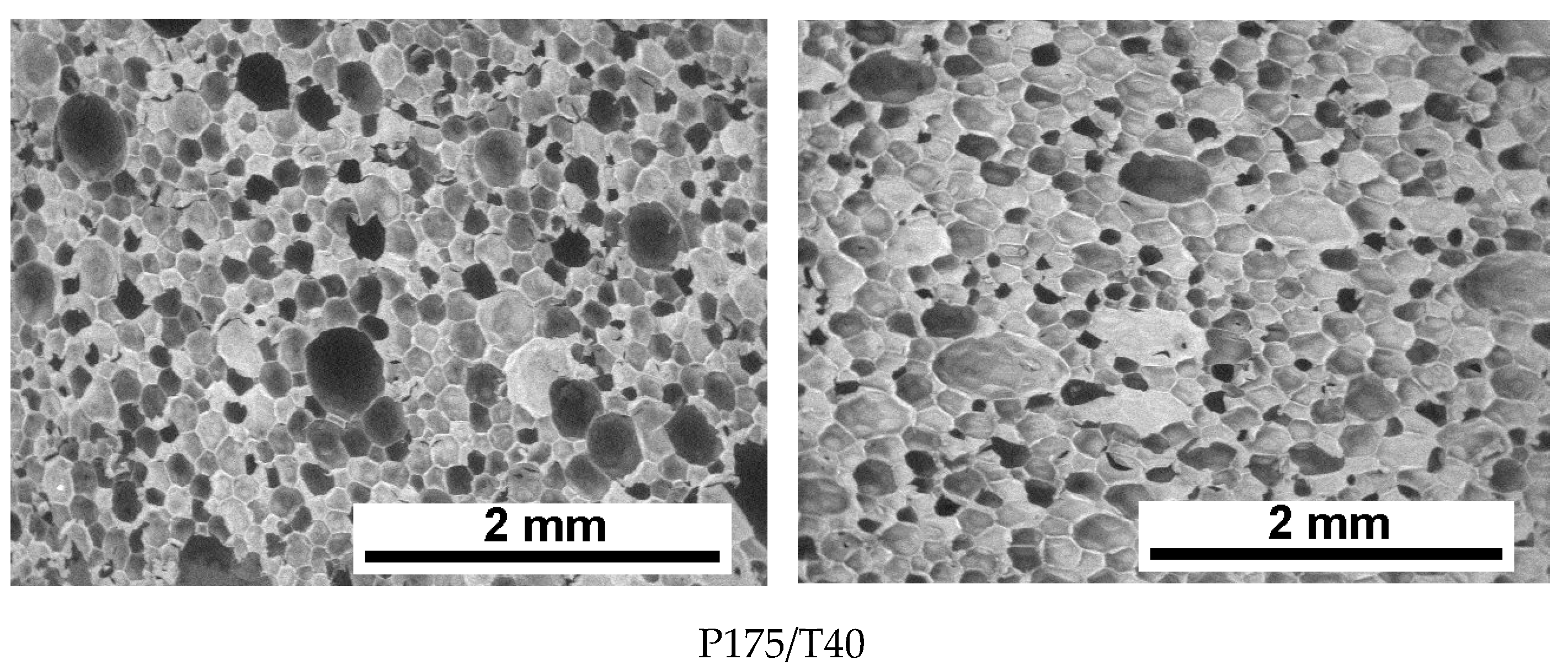 Polymers 17 02522 g003b