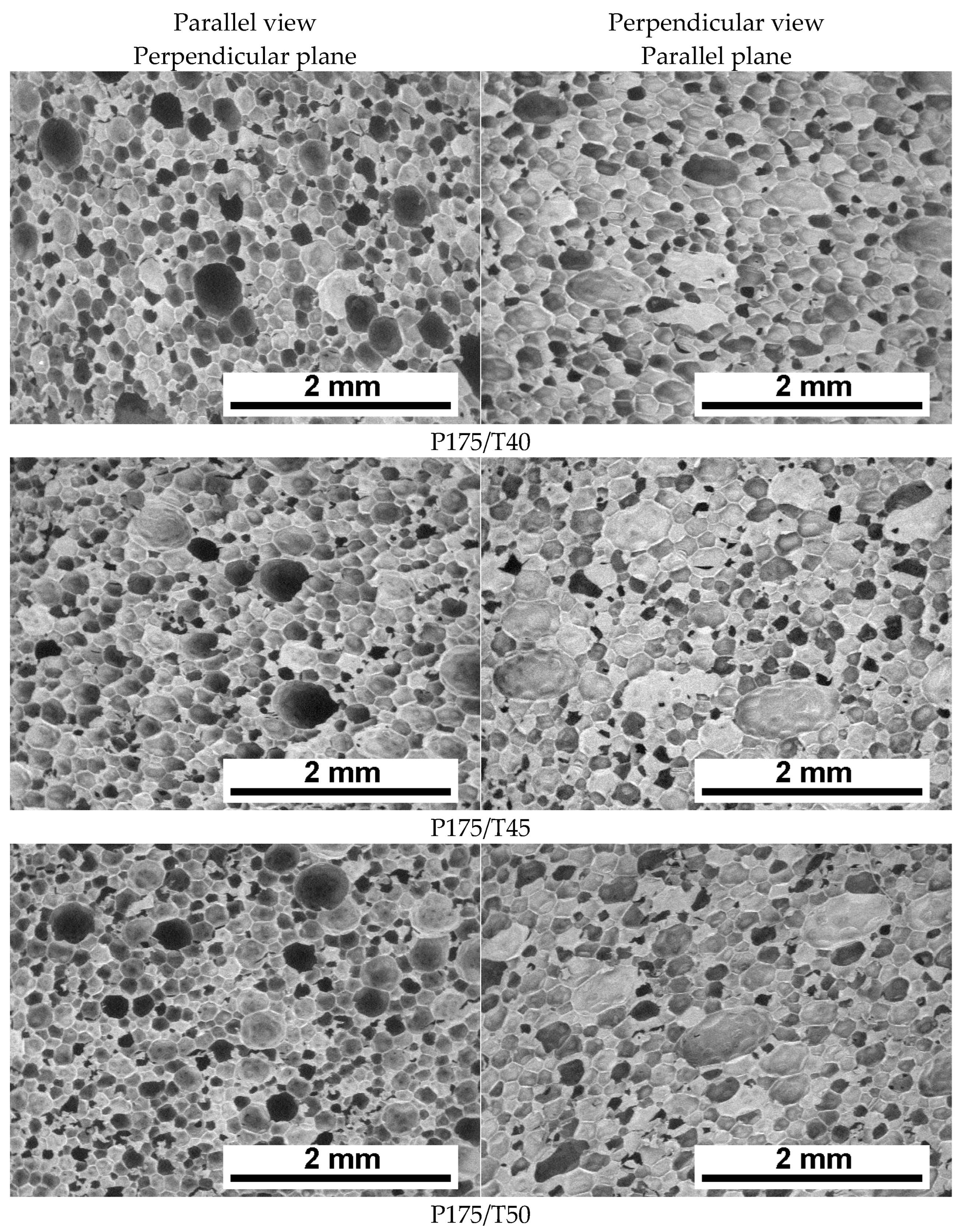 Polymers 17 02522 g004a