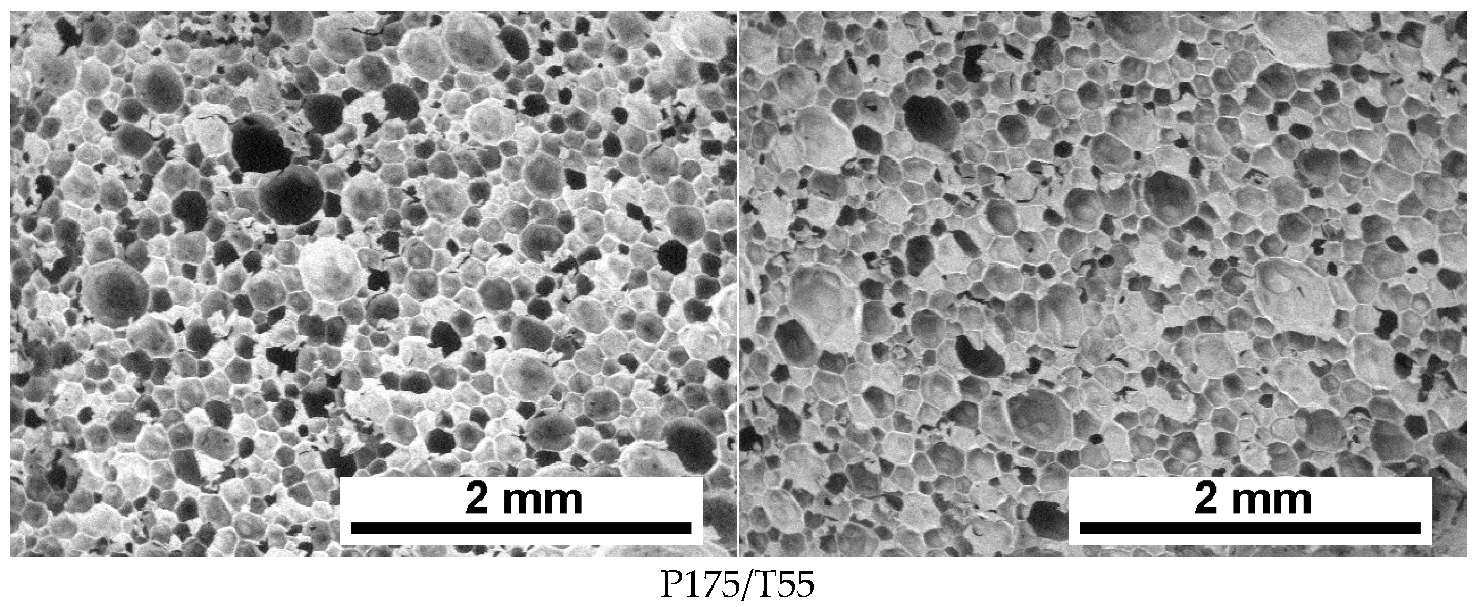 Polymers 17 02522 g004b