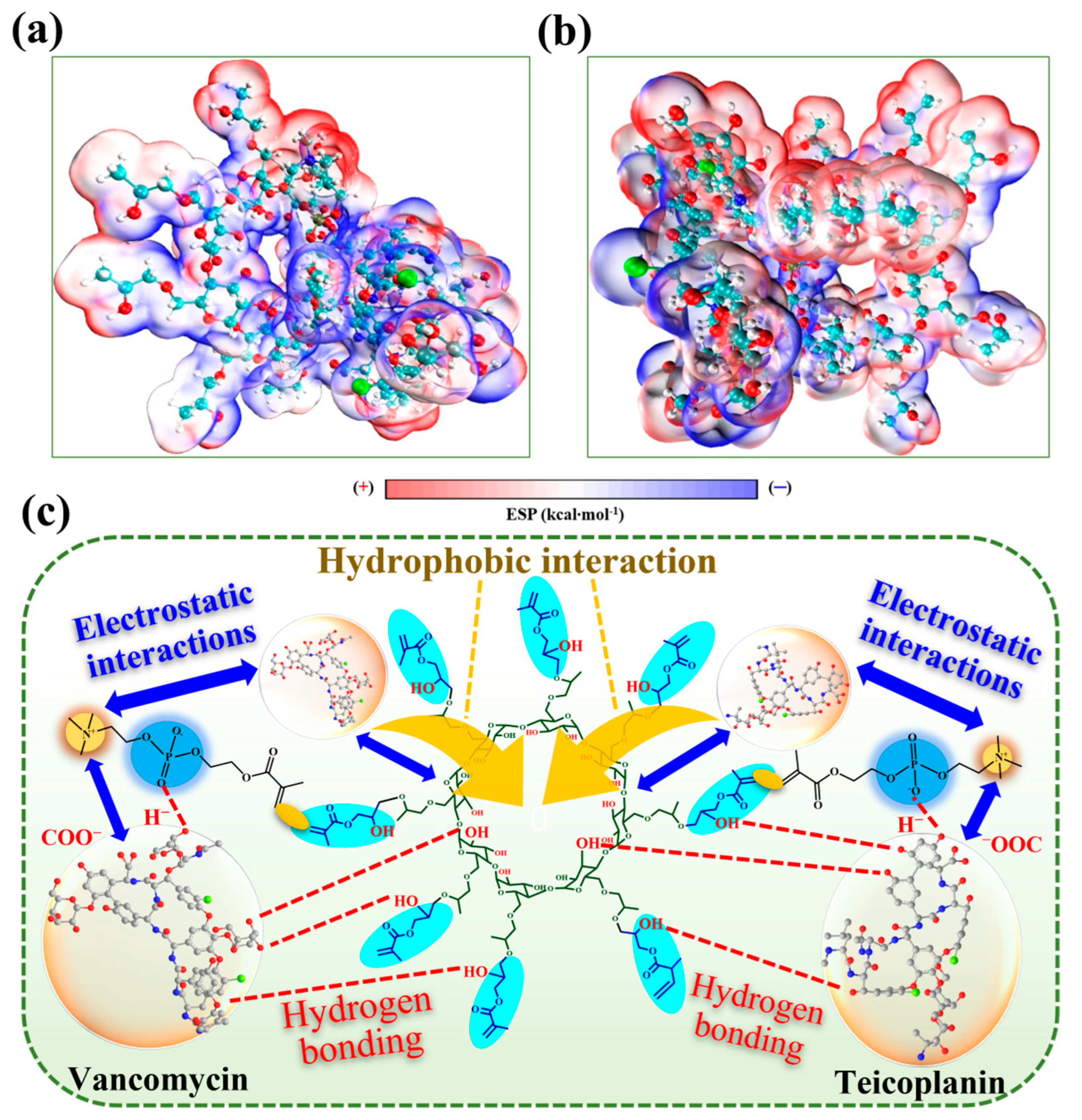 Polymers 17 02524 g007 Polymers 17 02524 g007