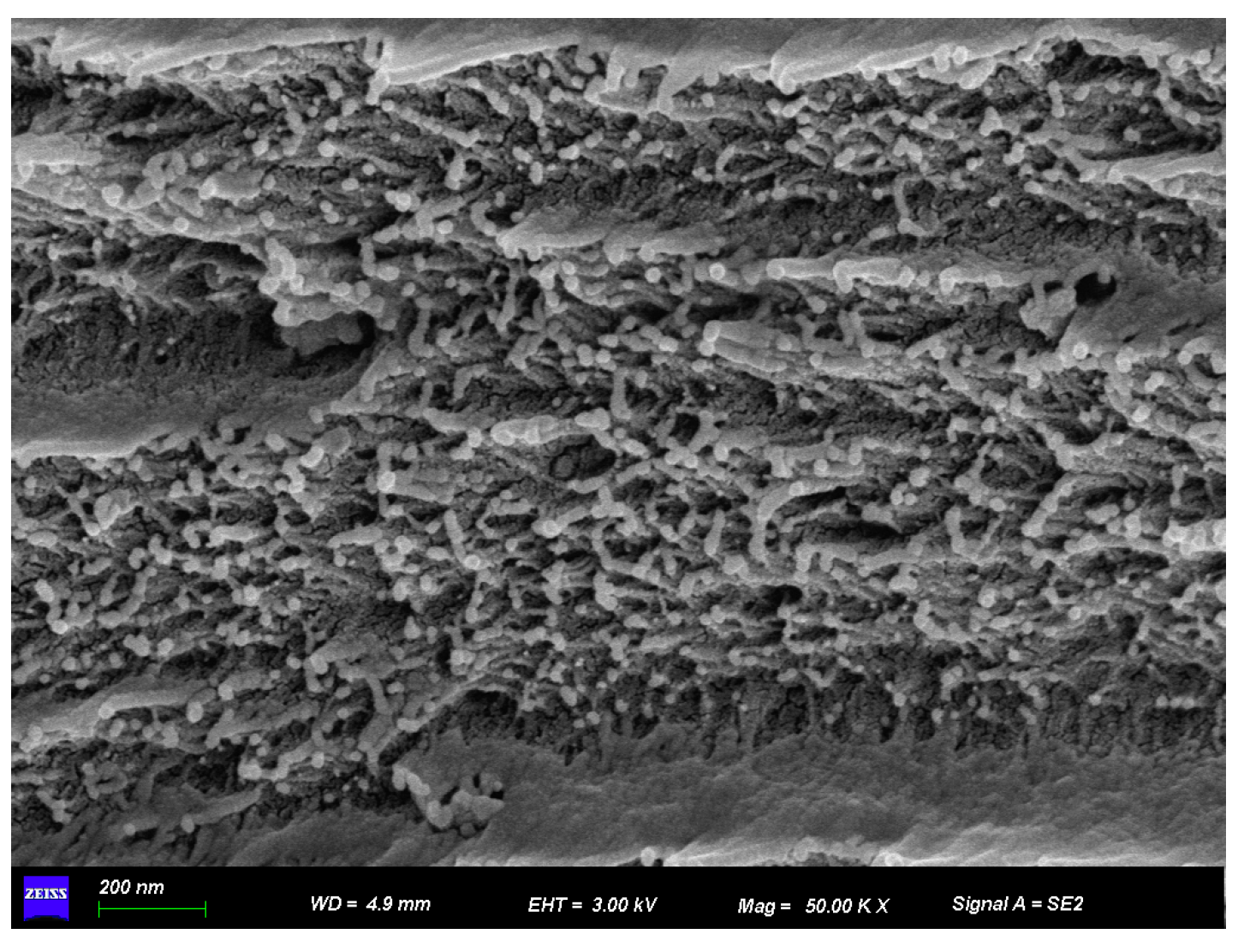 Polymers 17 02526 g005