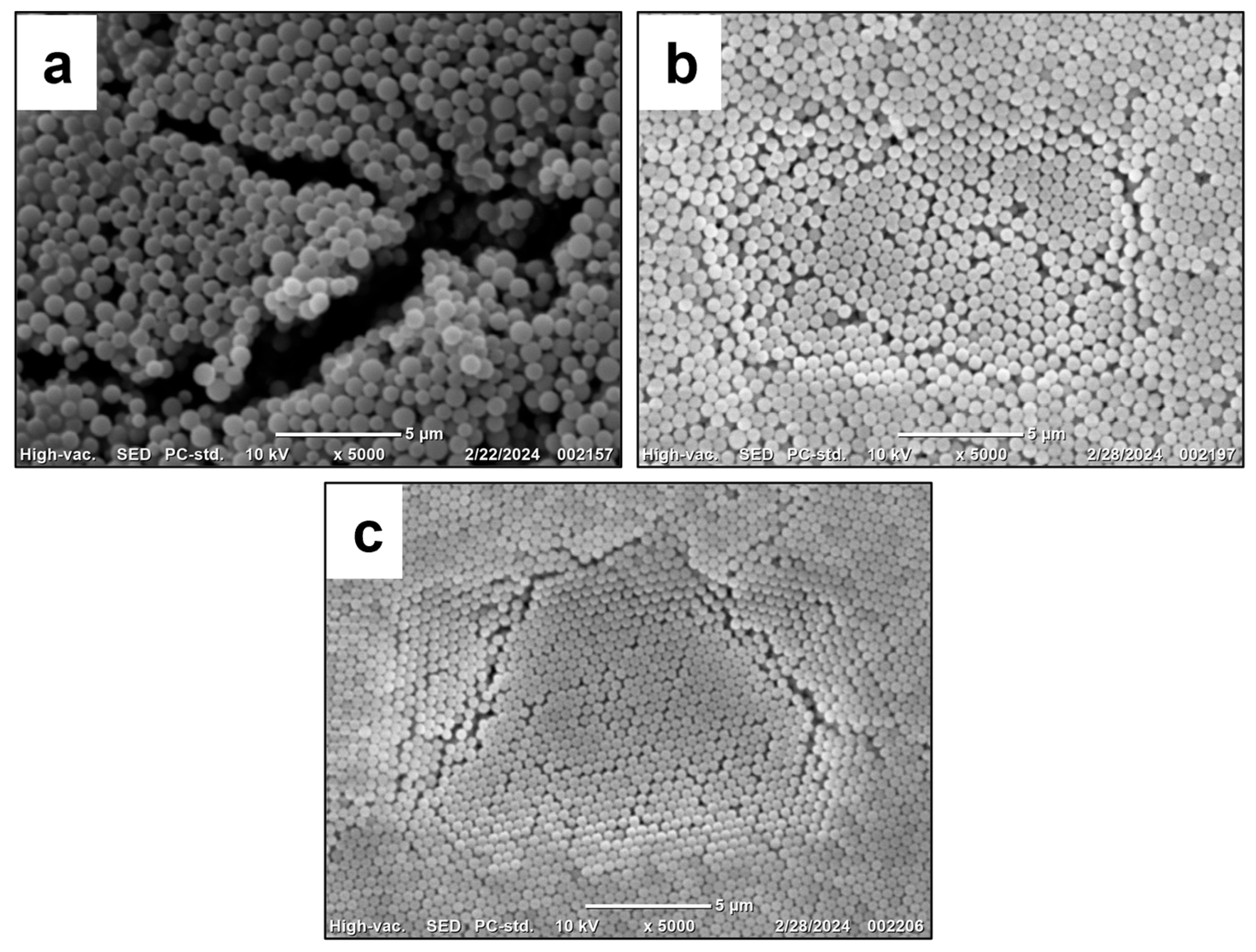Polymers 17 02535 g006