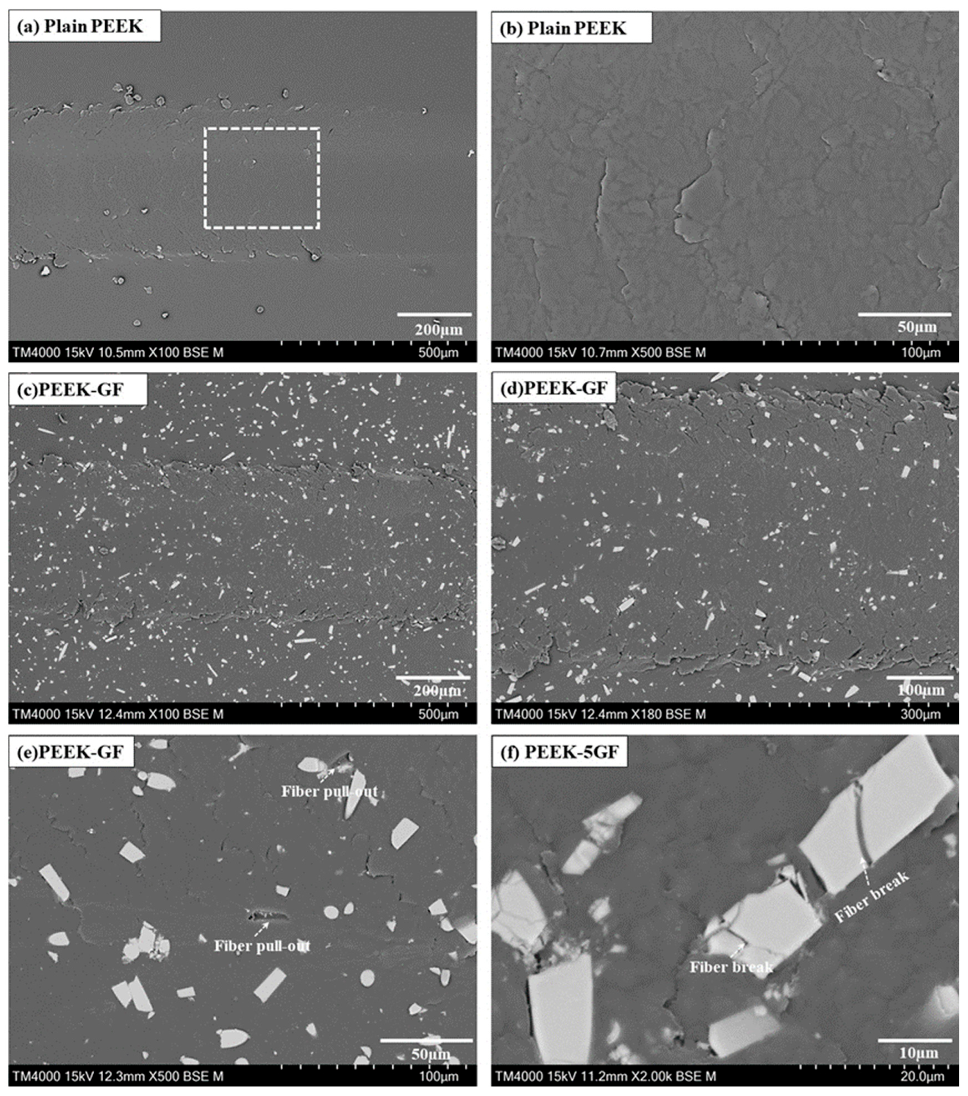 Polymers 17 02536 g010