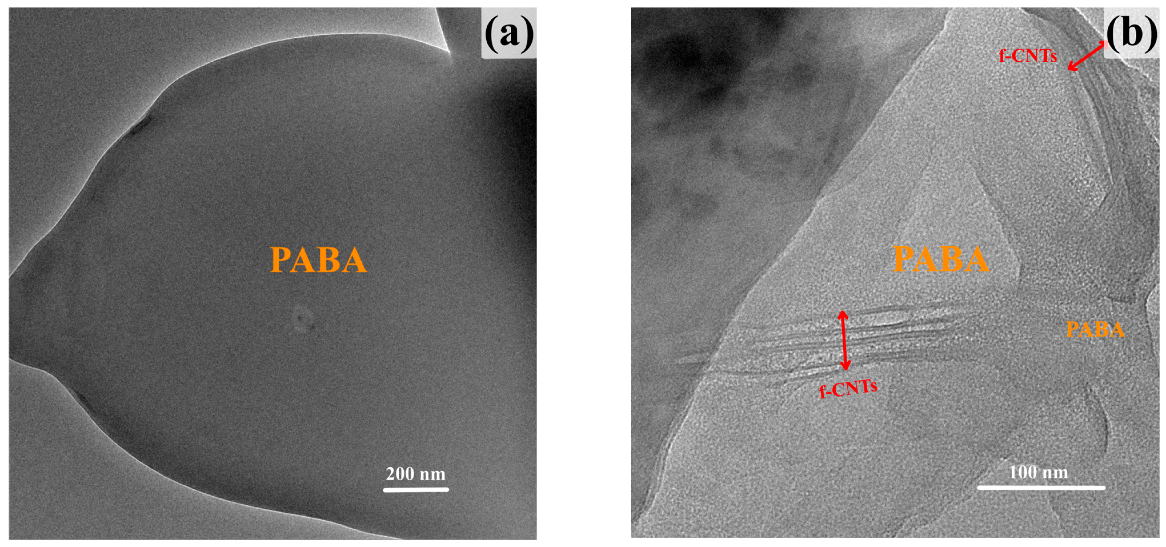 Polymers 17 02539 g004