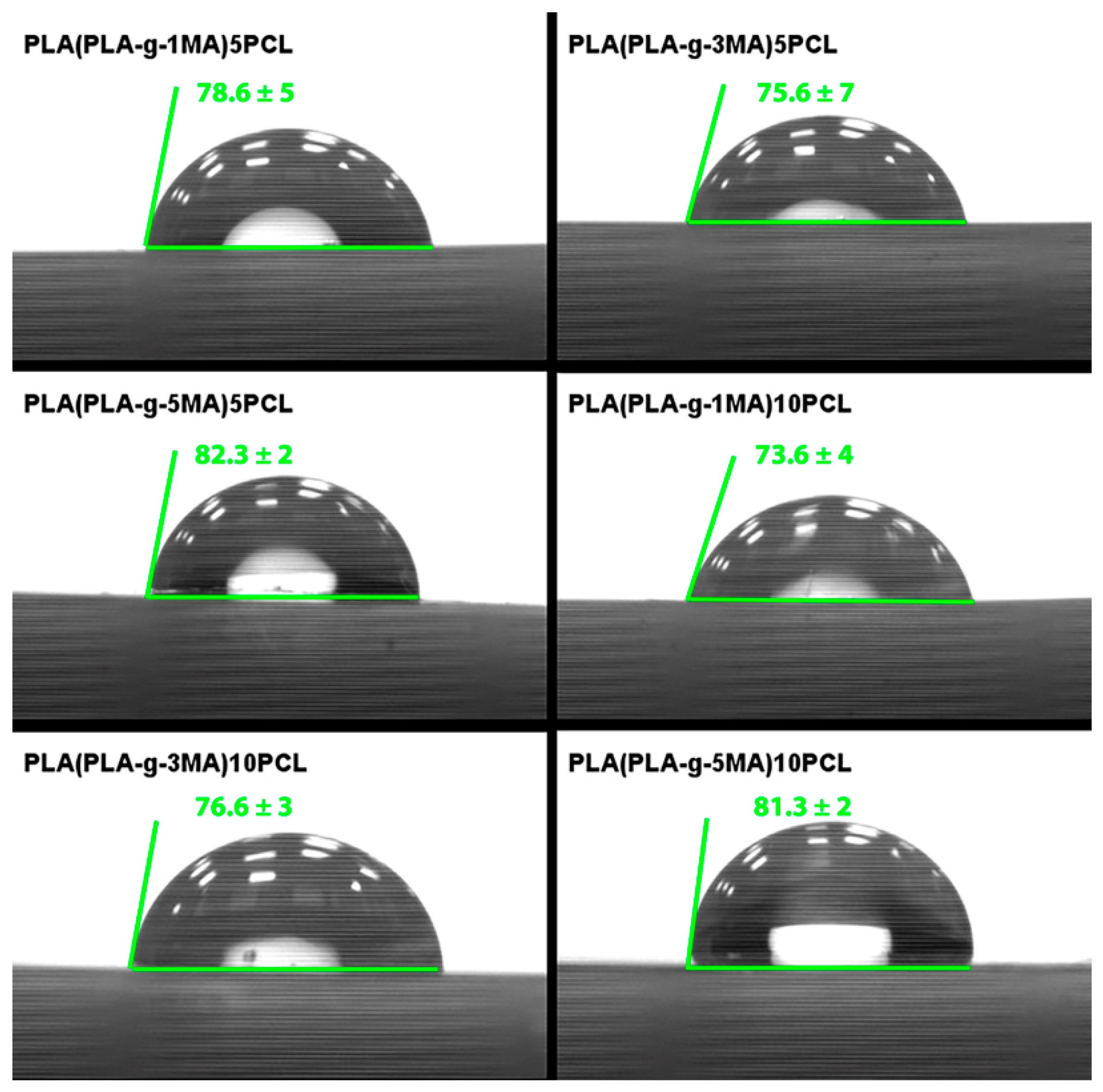 Polymers 17 02540 g010