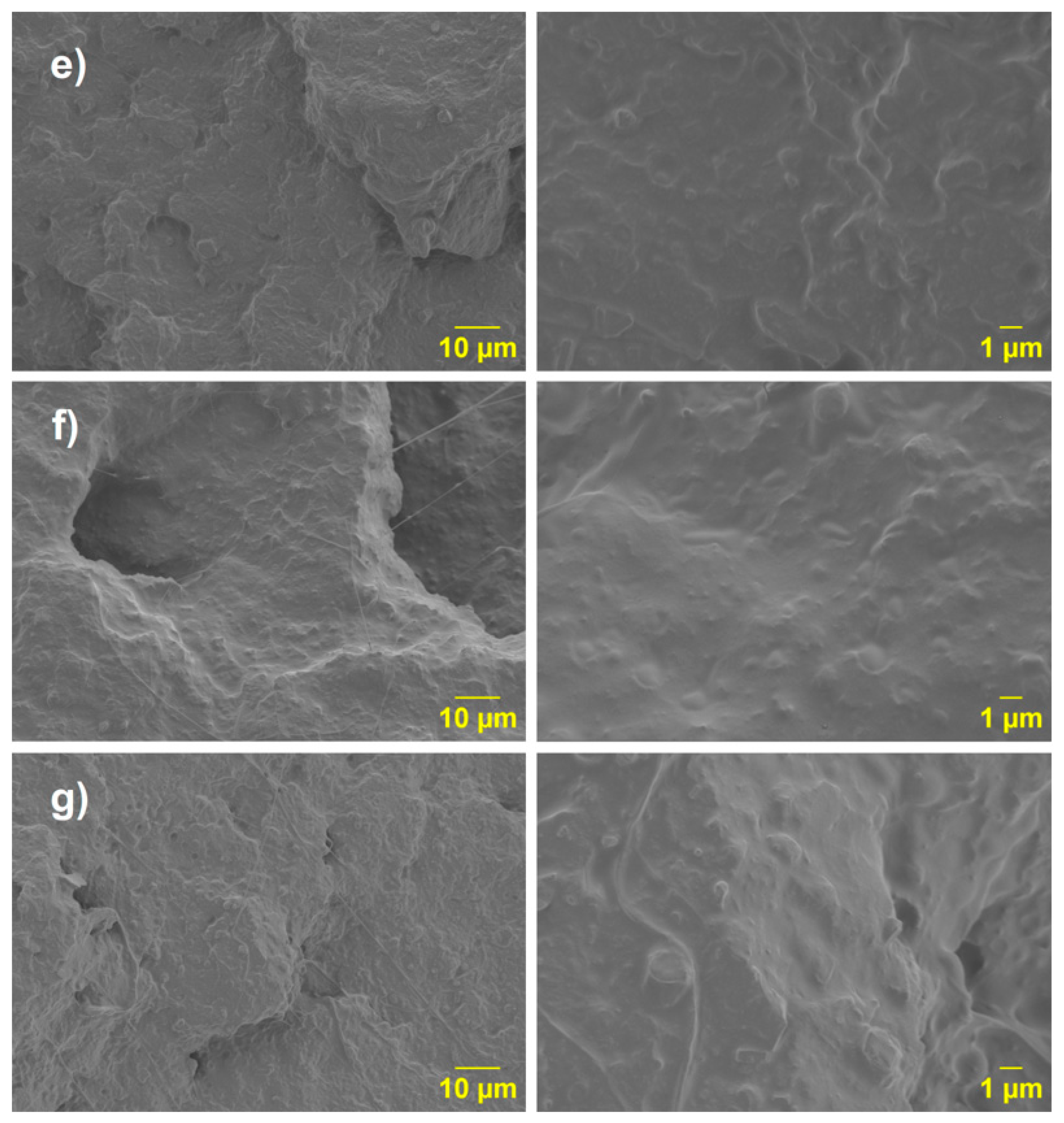 Polymers 17 02540 g012
