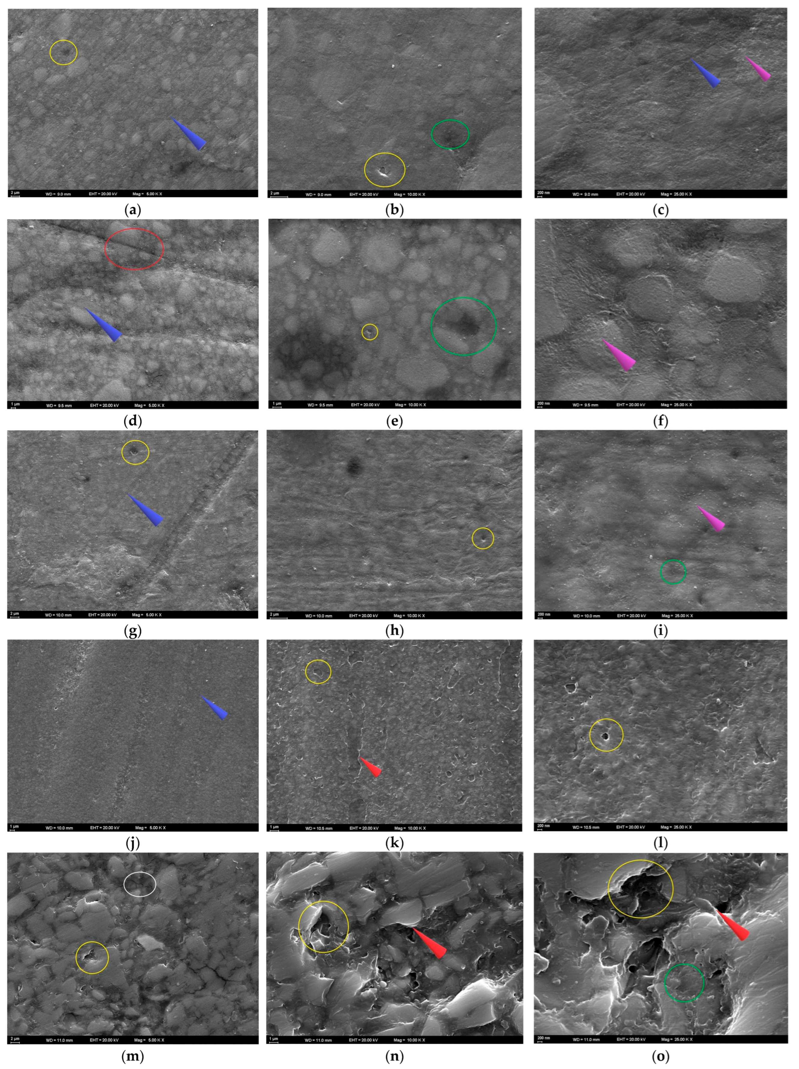 Polymers 17 02552 g005