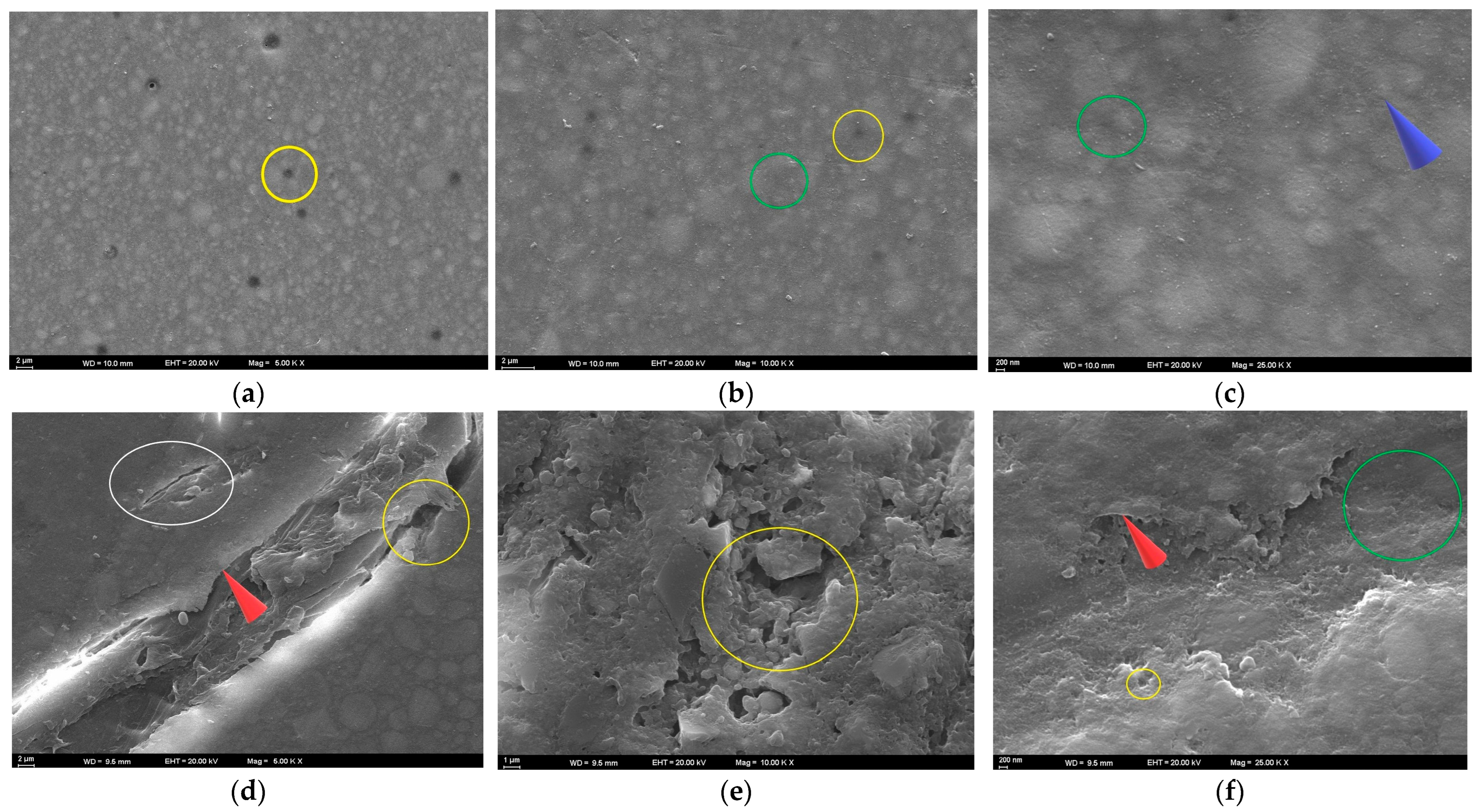 Polymers 17 02552 g006a