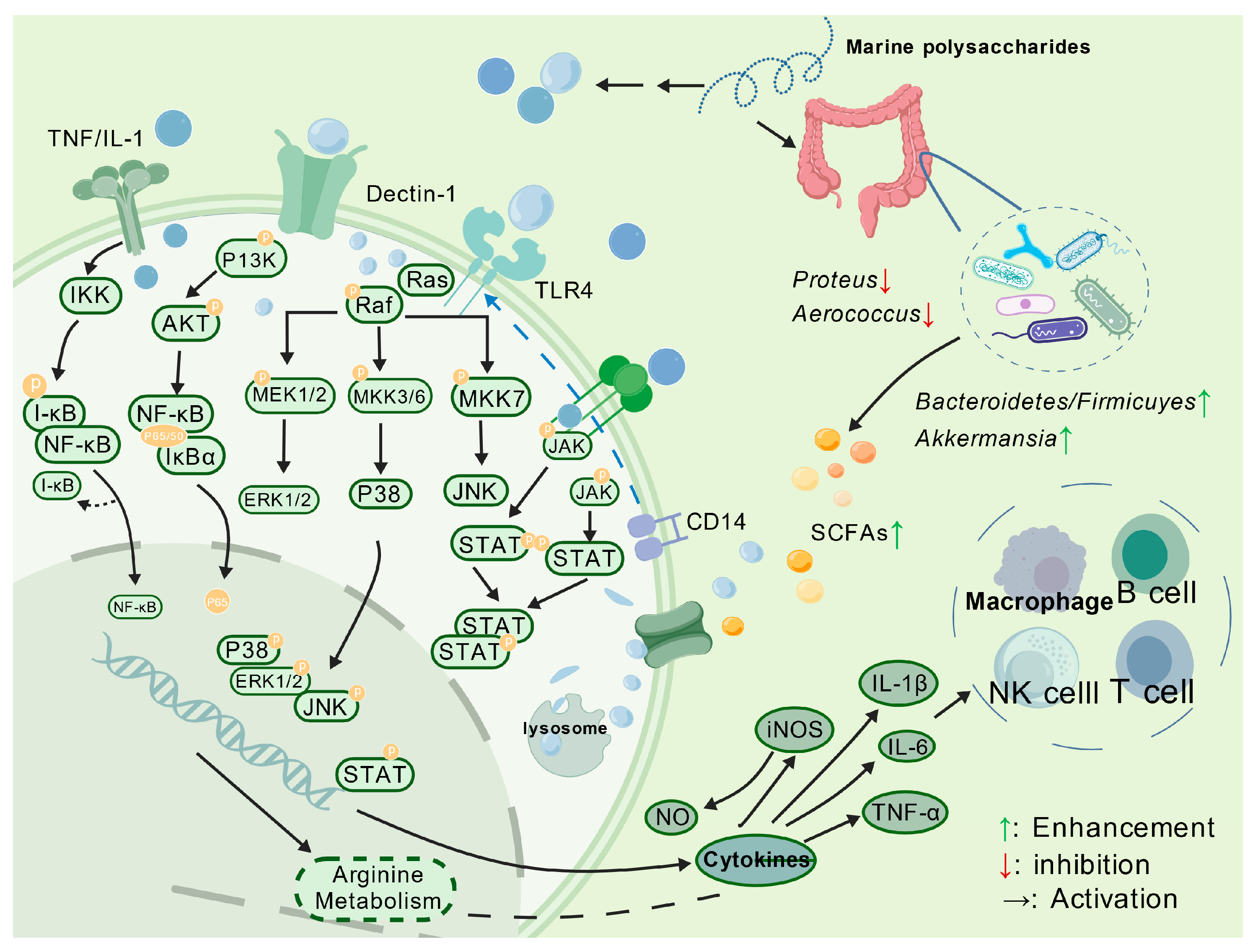 Polymers 17 02553 g002 Polymers 17 02553 g002
