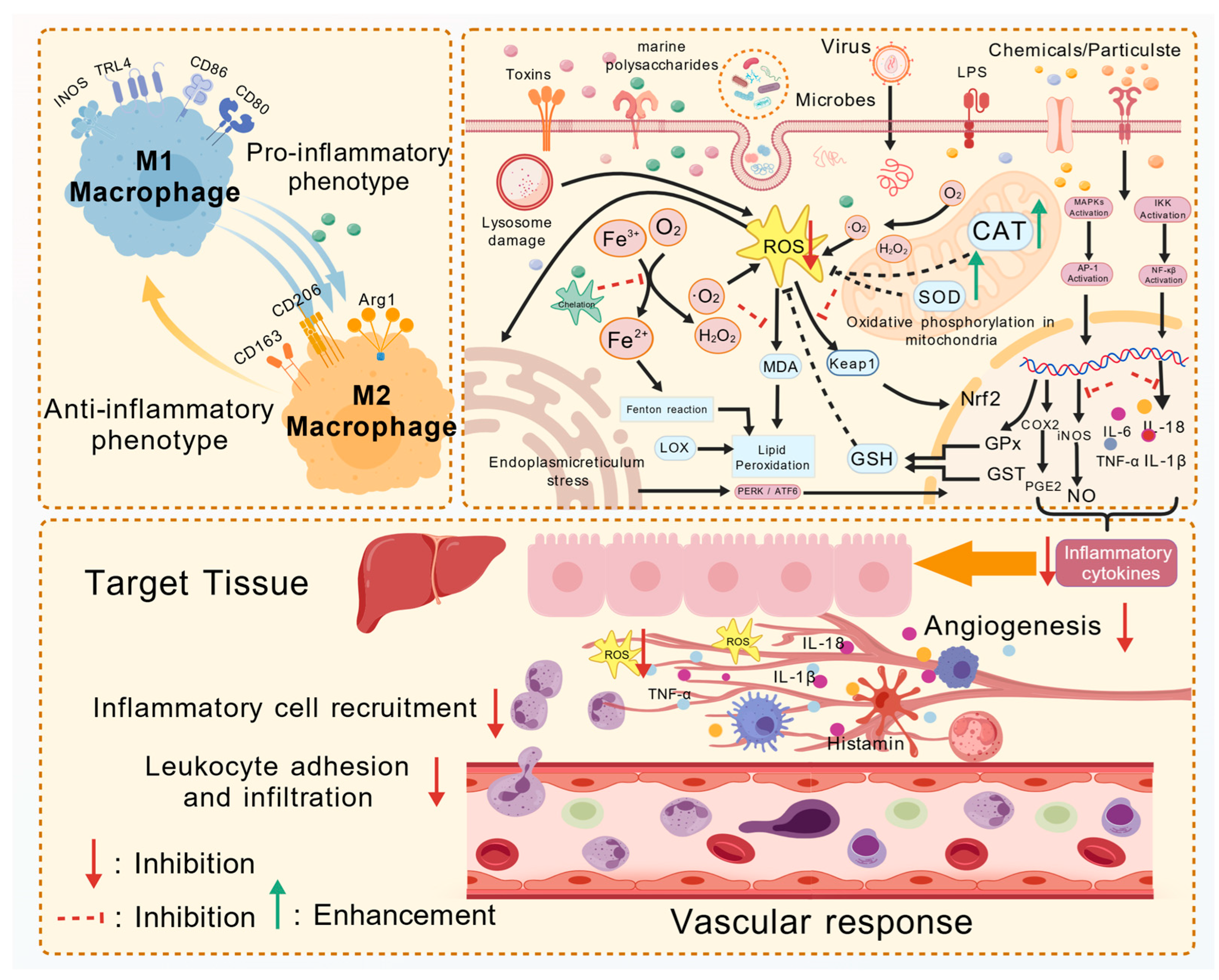 Polymers 17 02553 g003 Polymers 17 02553 g003